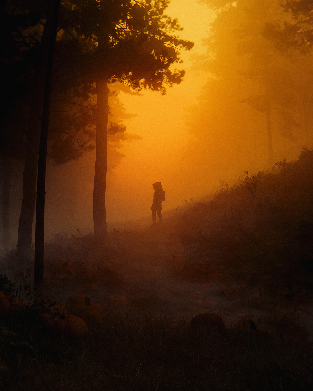 halloween dawn