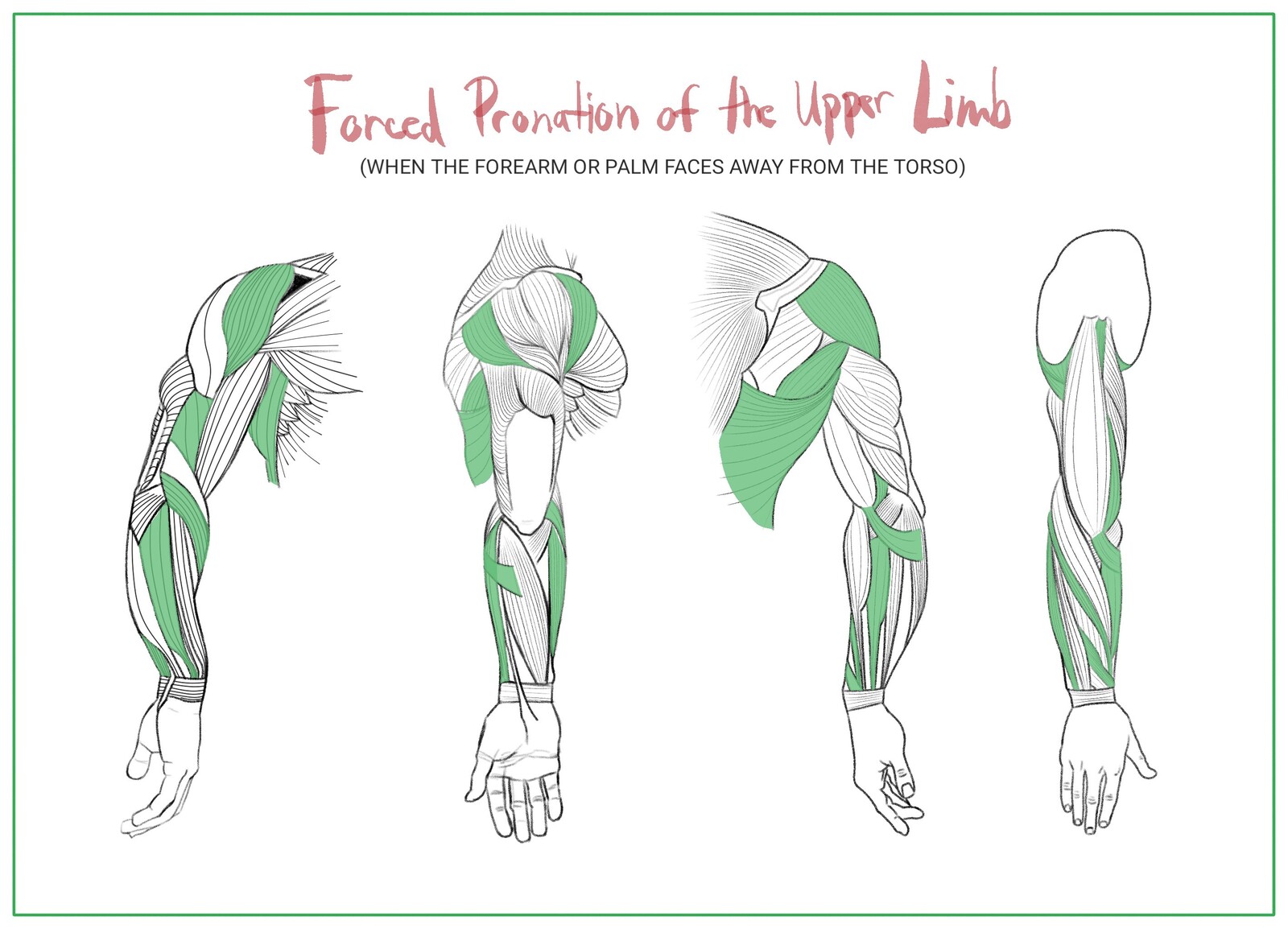 Palm facing away from torso