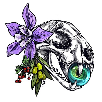 Cougar Skull