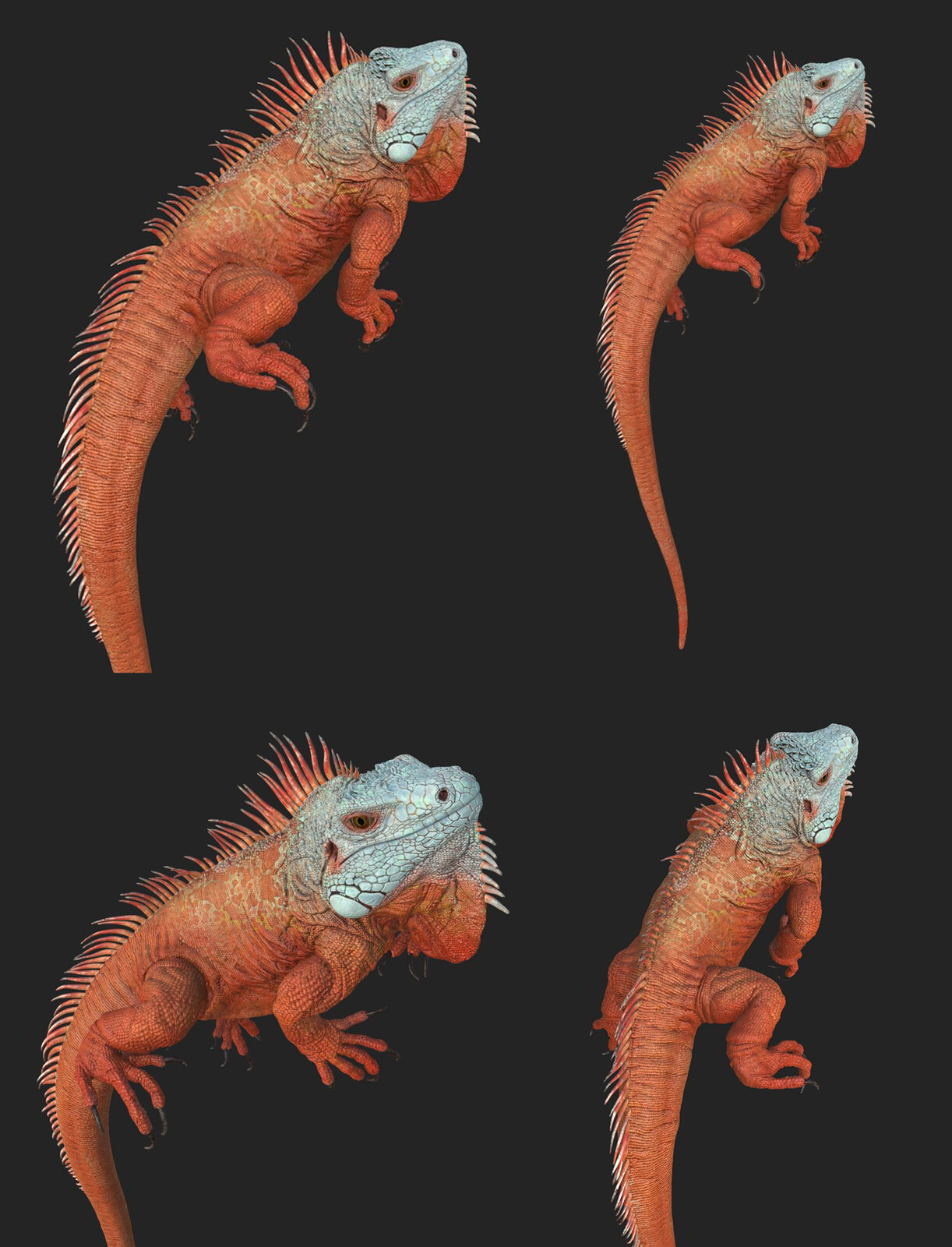 Iguana_Texturing painting process2