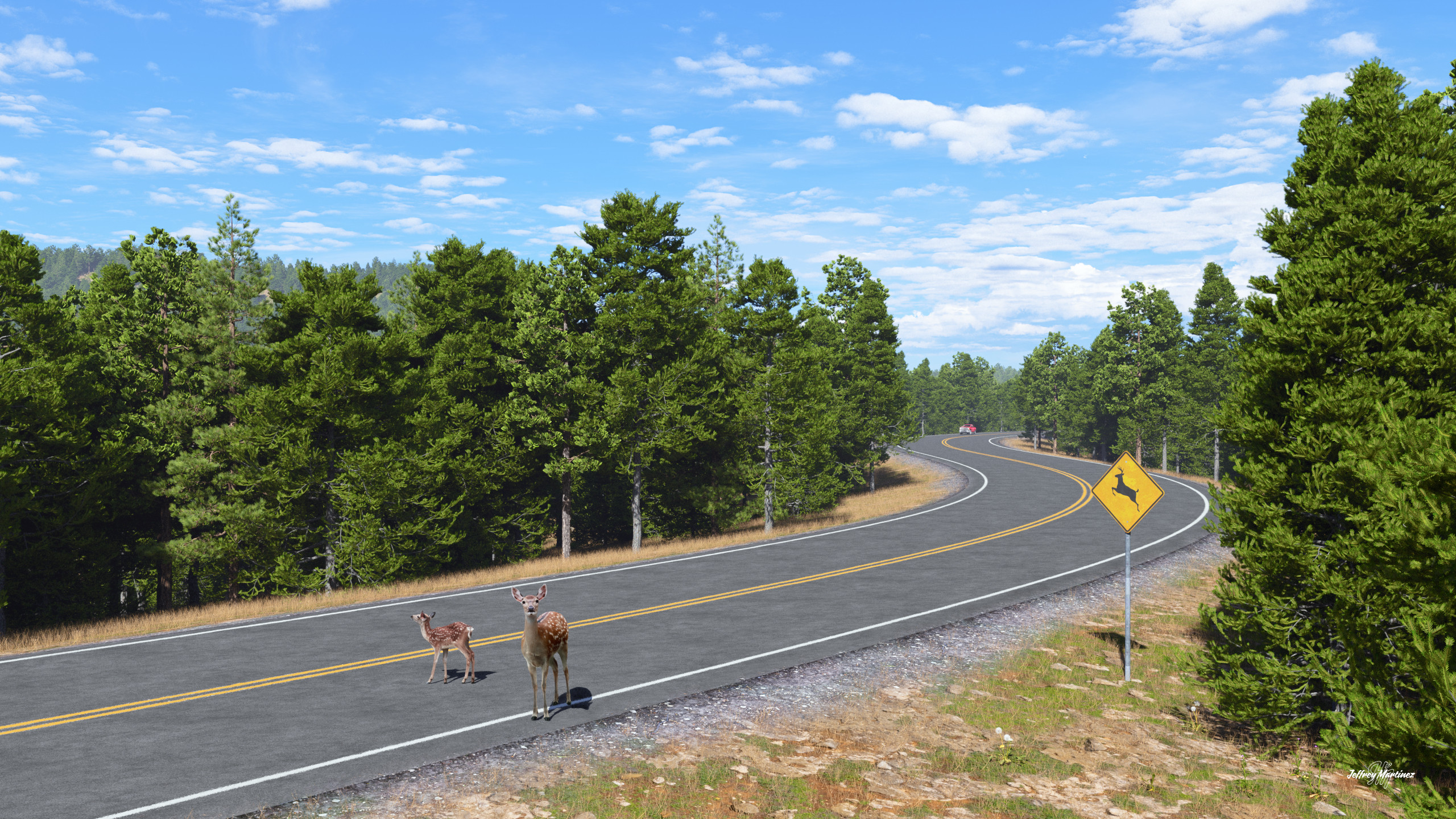 The Open Road
20241105TG
