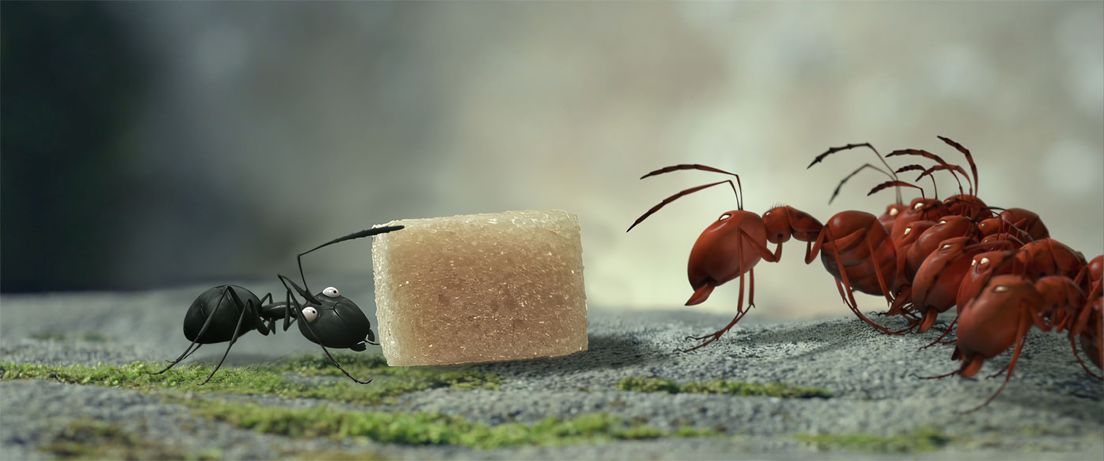 Image from the movie.