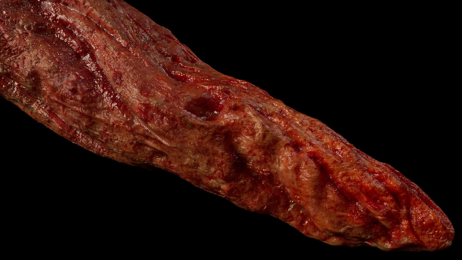 Tentacle model
