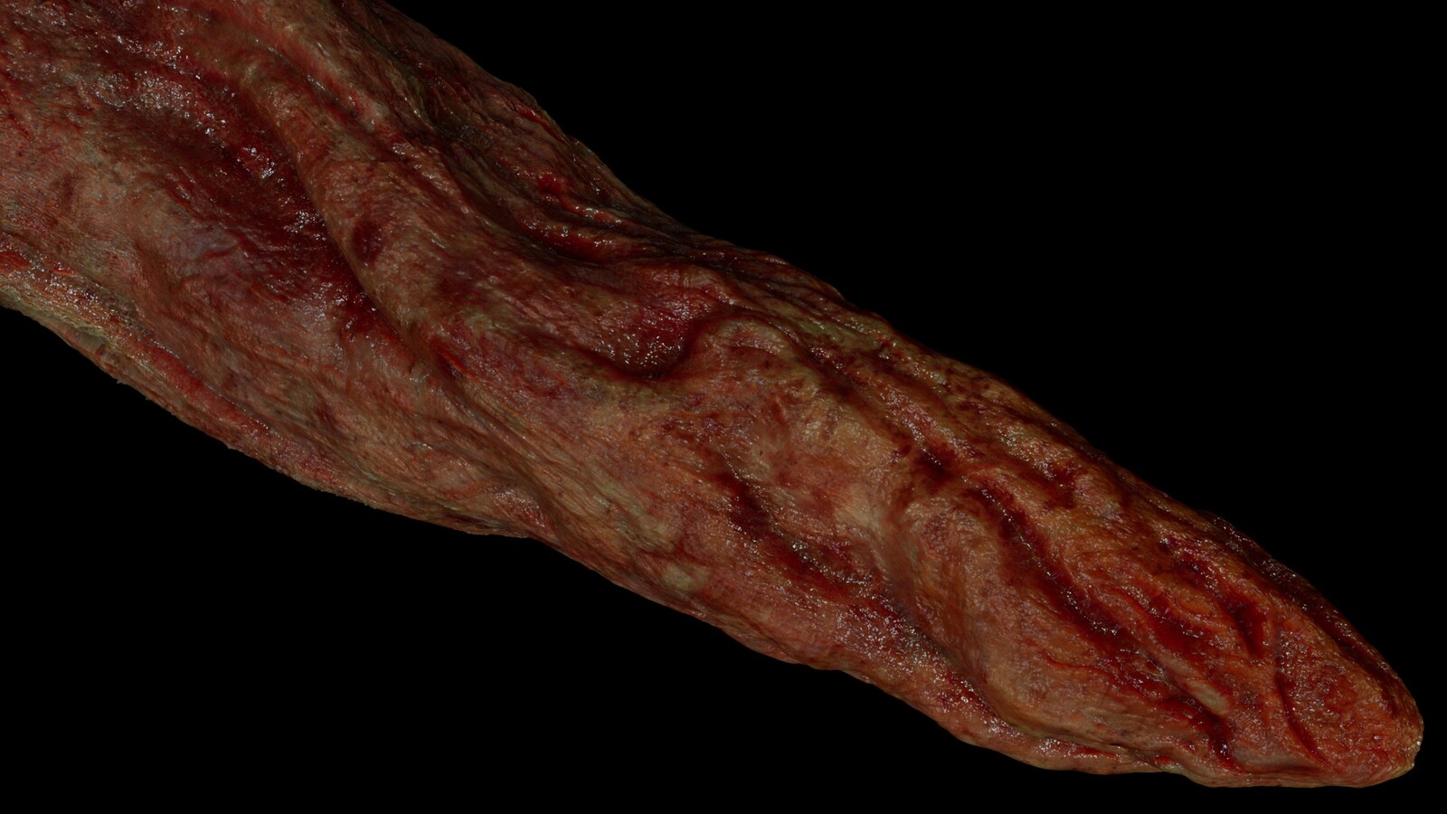 Tentacle model