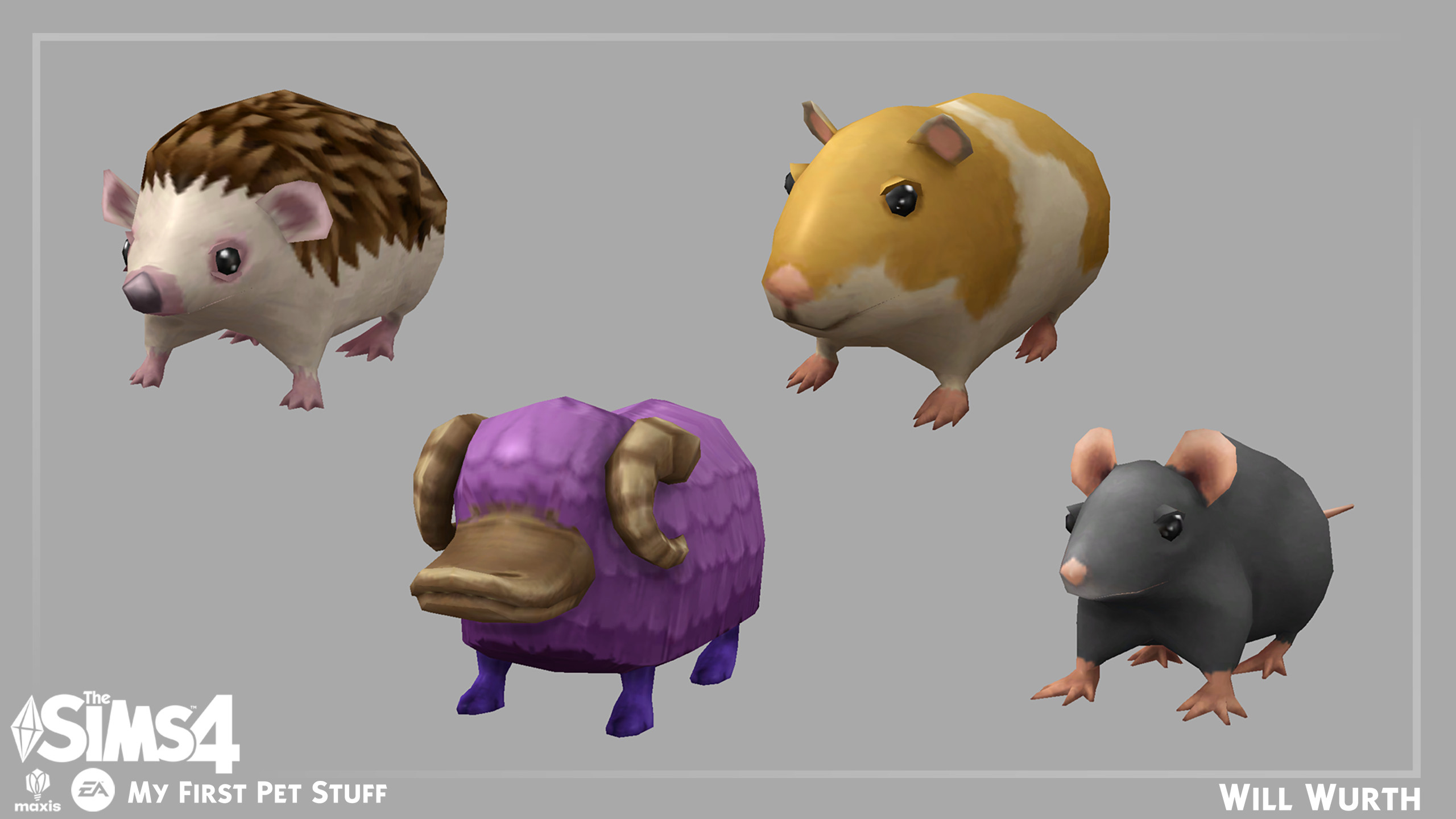 TS4: My First Pet Stuff