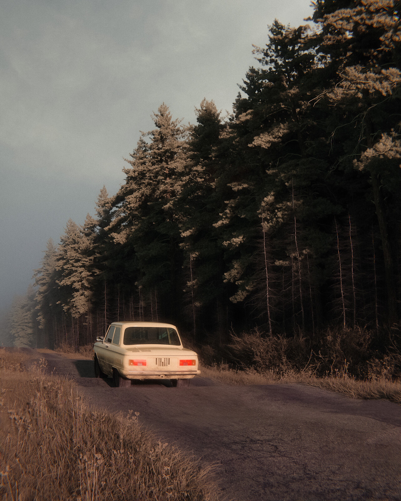 the return trip