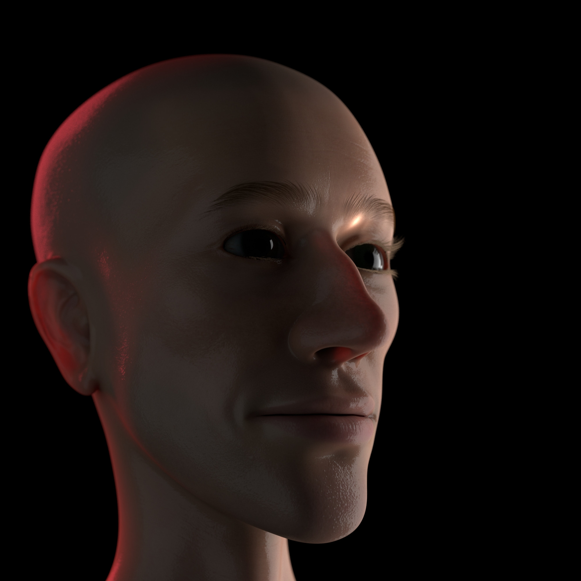 First time trying to make a head. Box modeled in modo, then used their sculpt tools.