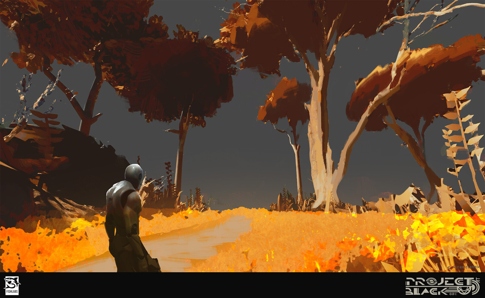 forest before