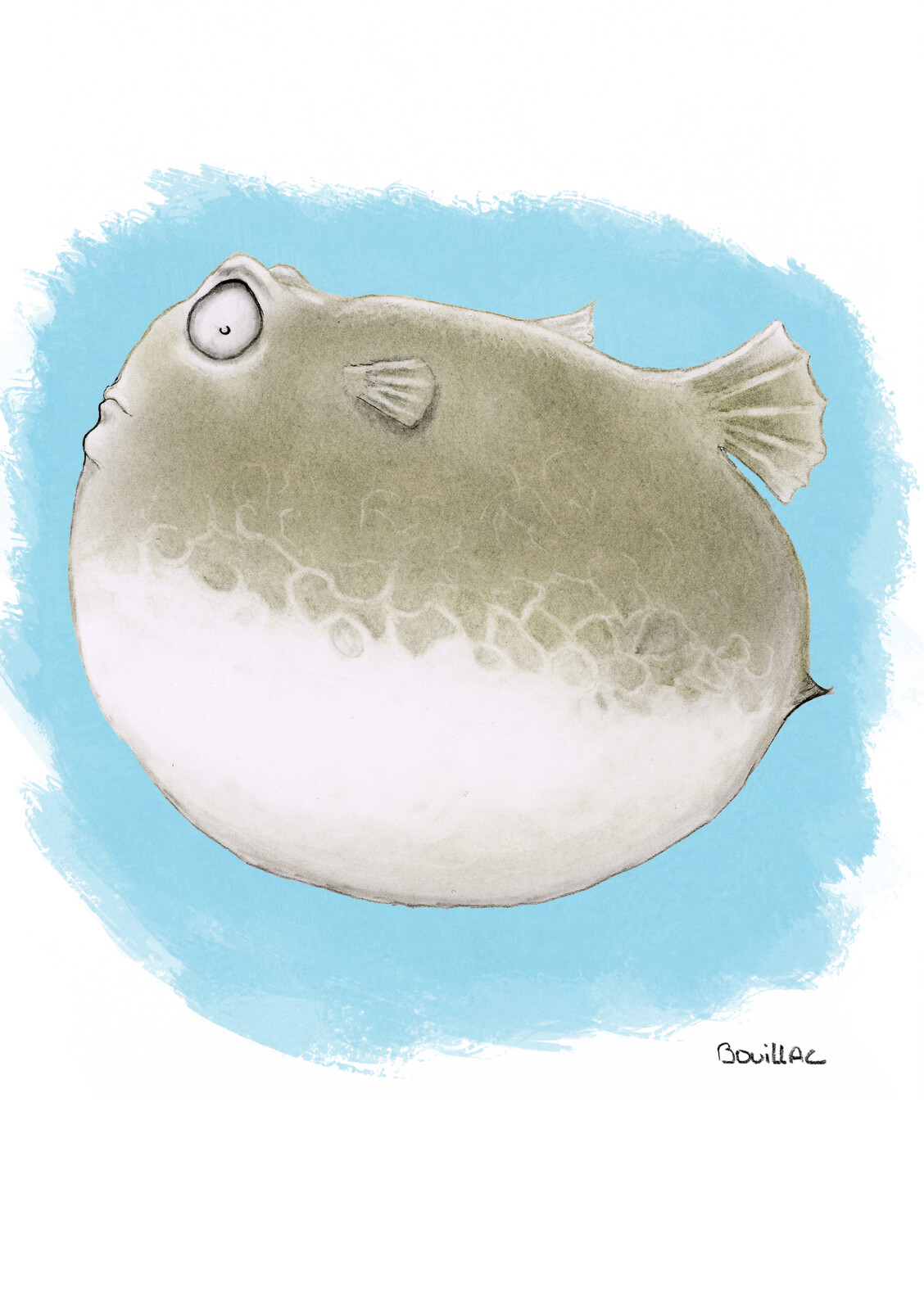 fugu
