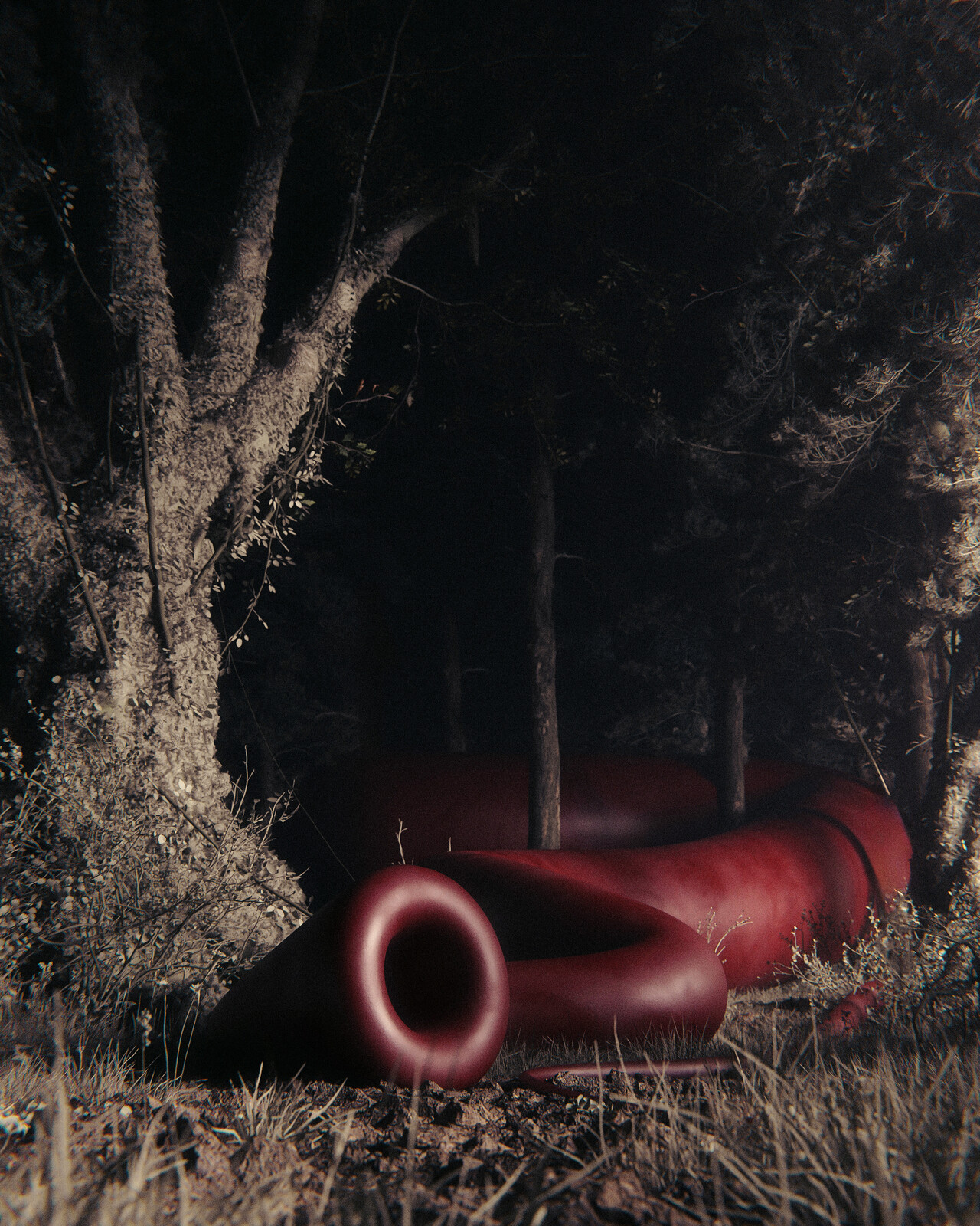 forest crawler