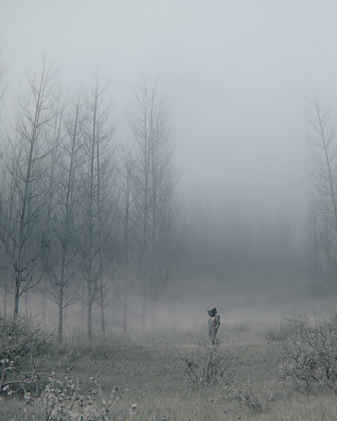 the foggy way home