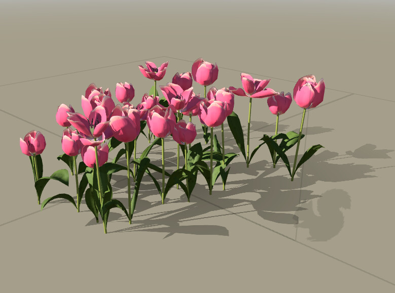 Tulips