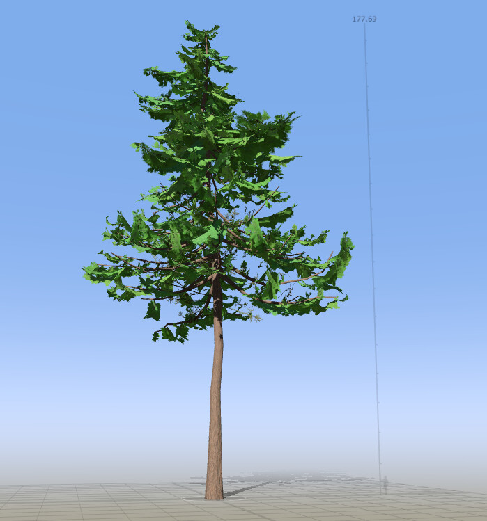 Pine01