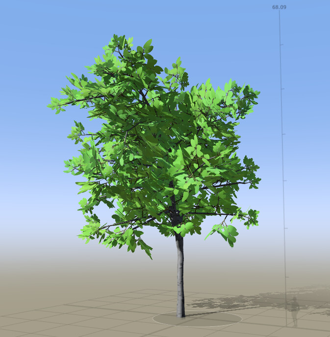 Variation