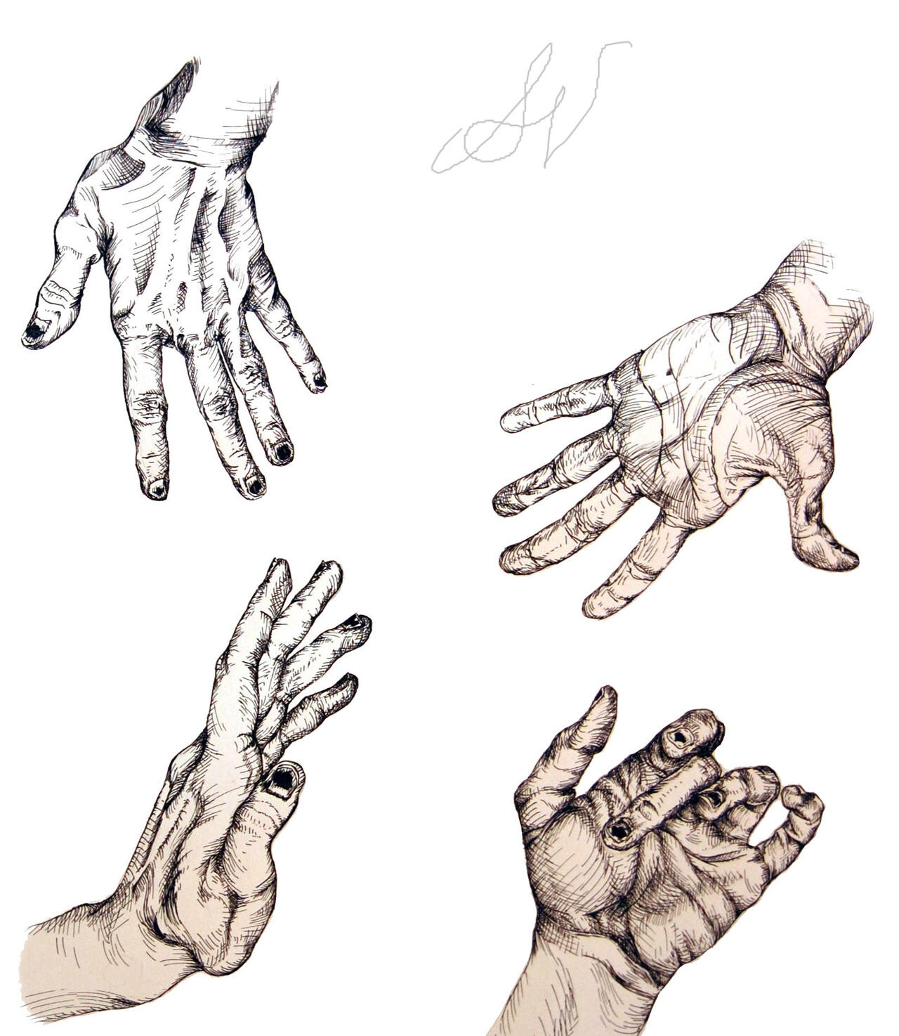ArtStation - Hand Study
