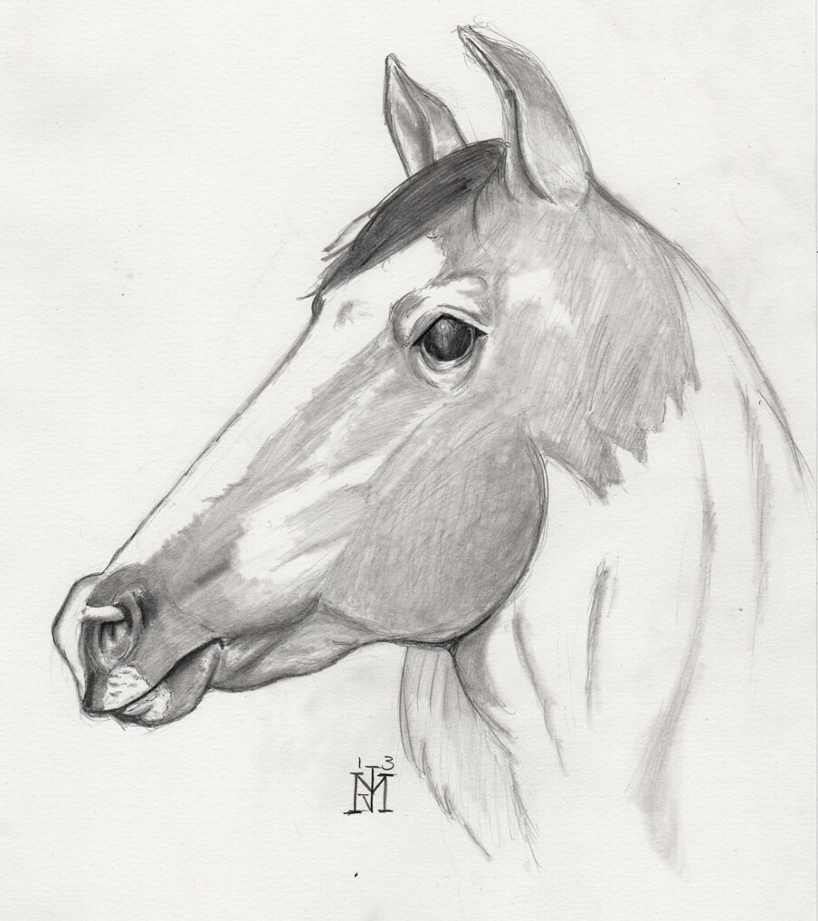 Quick horse sketch