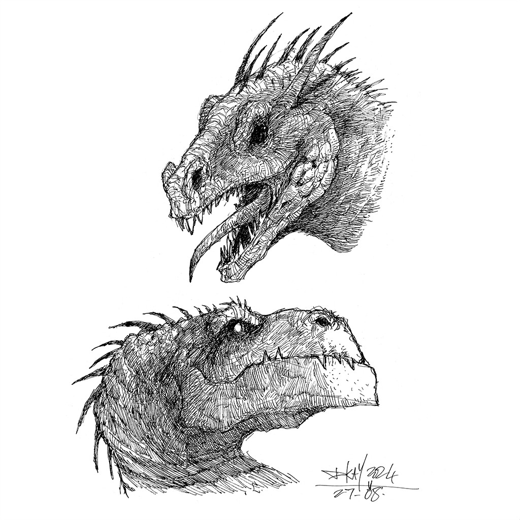 Dragon Sketches