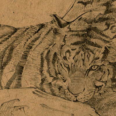 Shere Khan