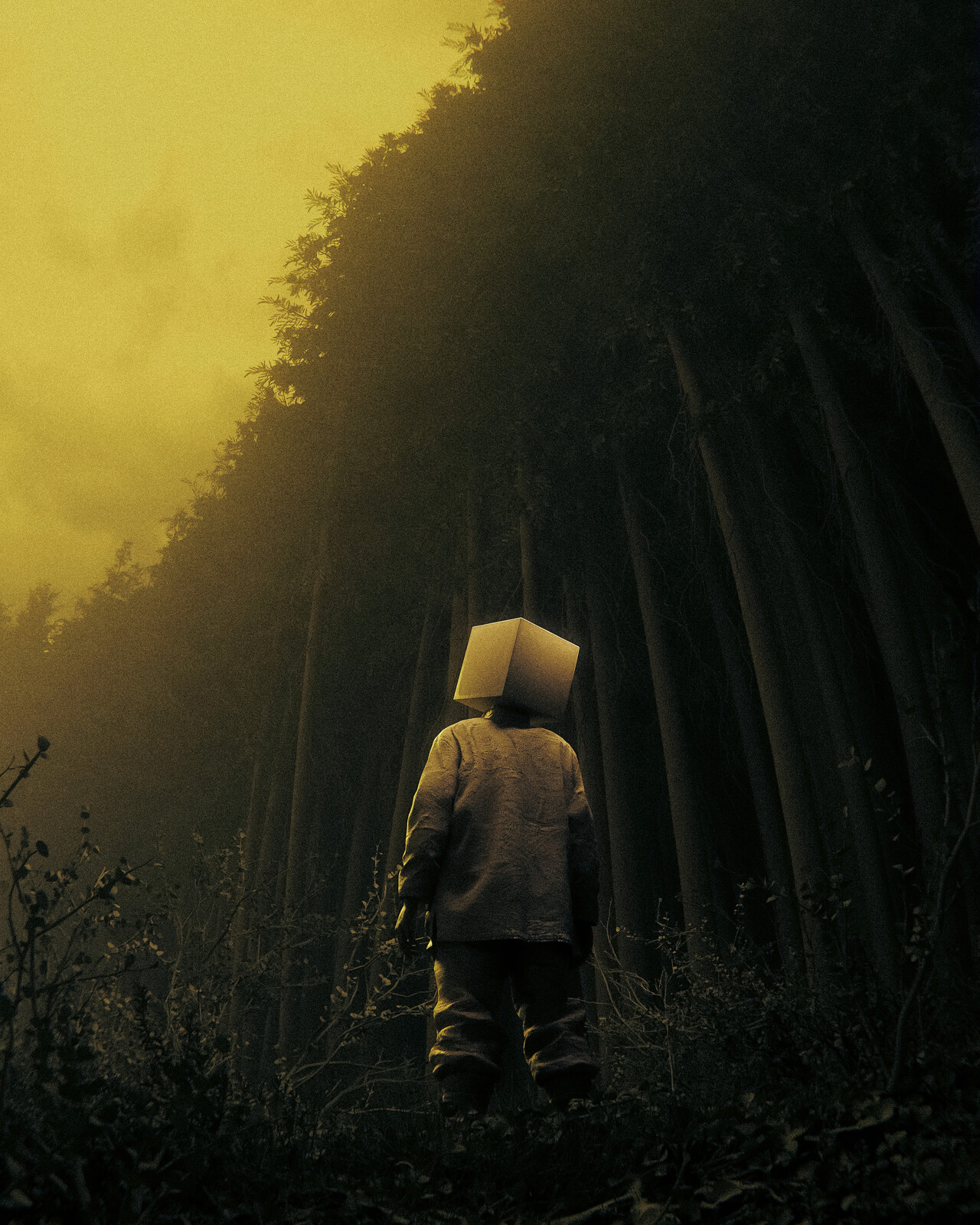 out of the woods