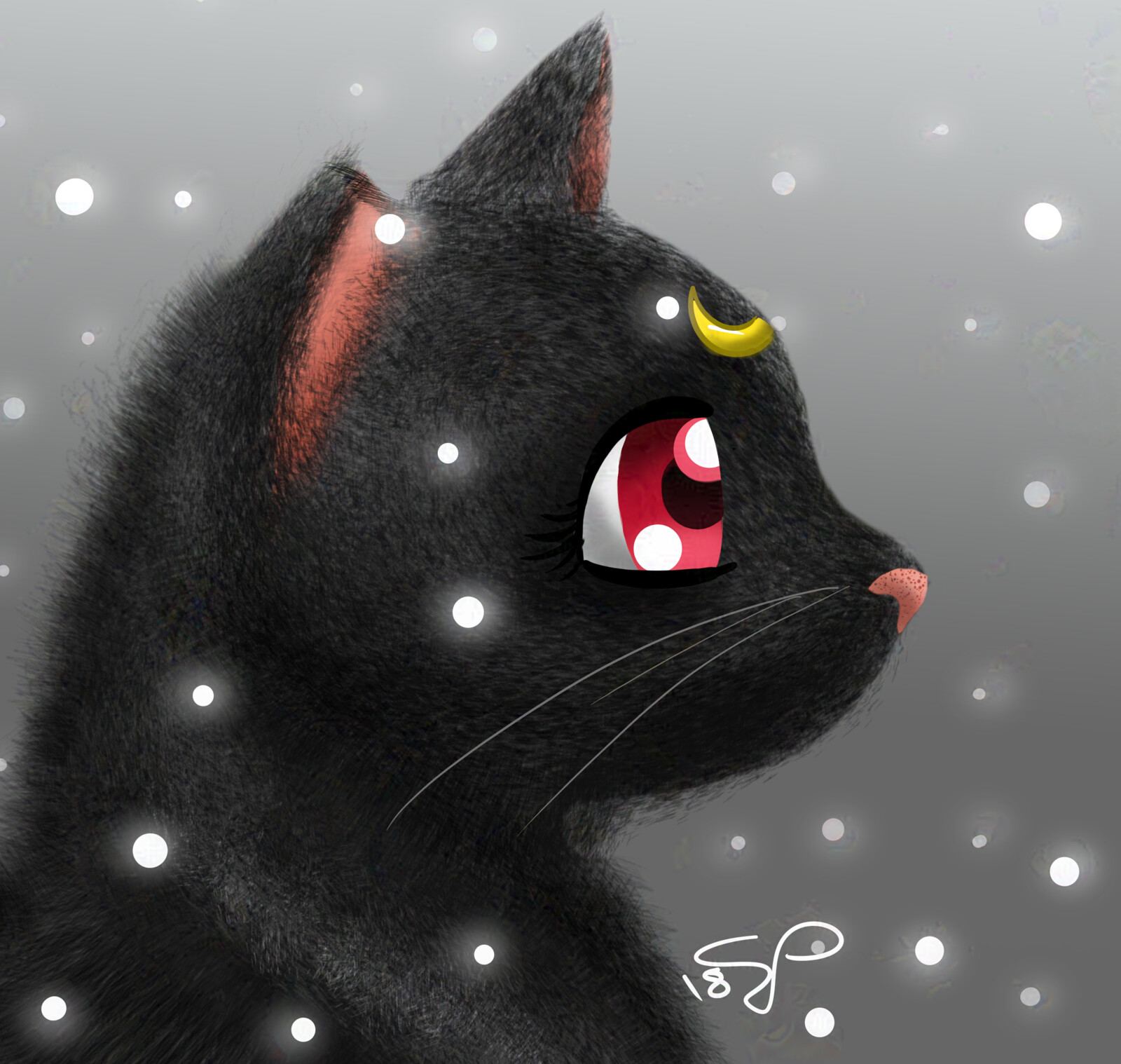 Luna in Snow
