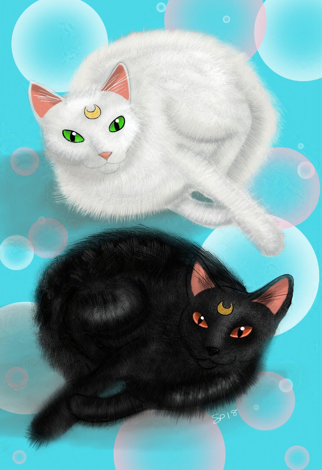 Sailor Moon: Luna and Artemis