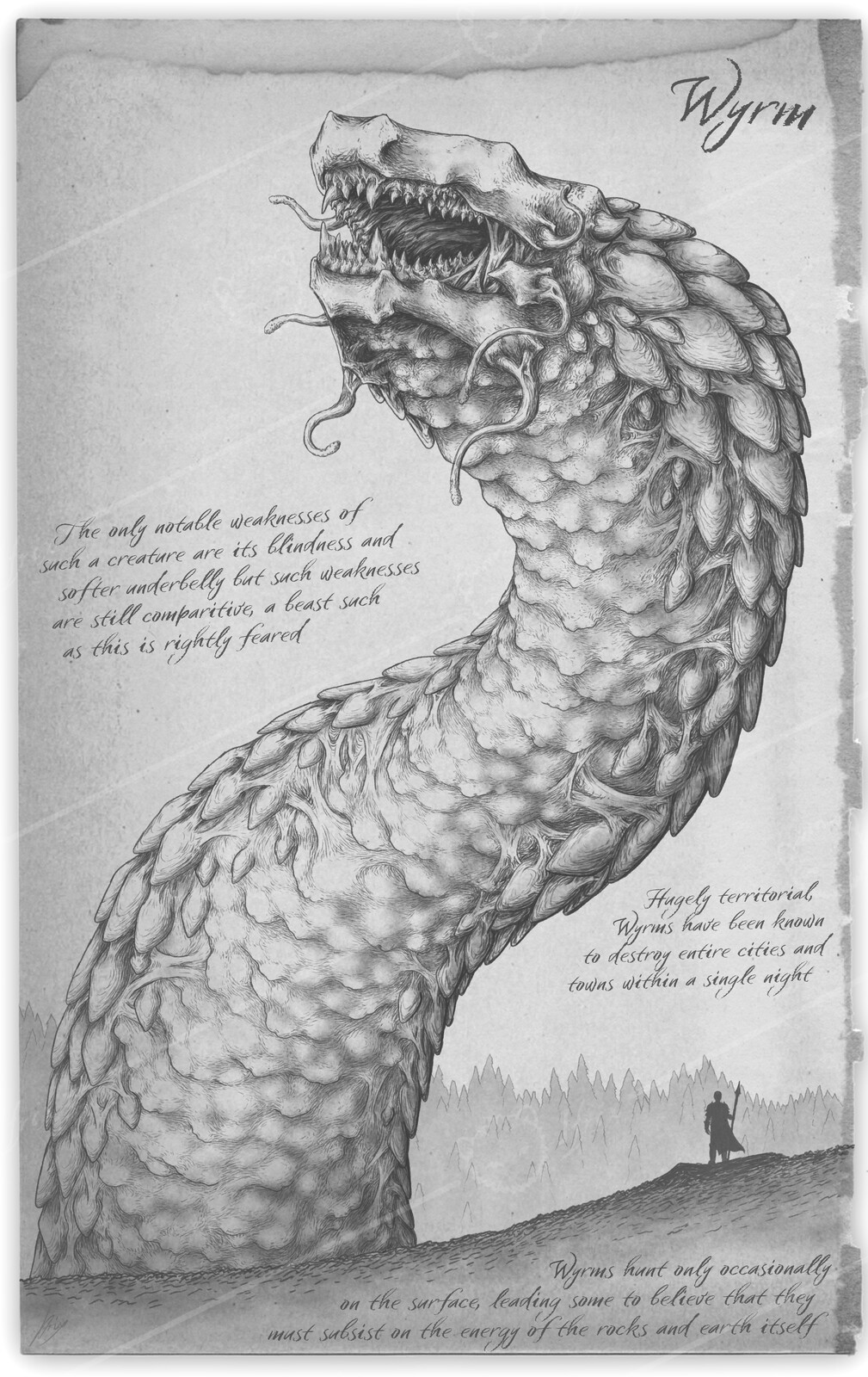 Wyrm