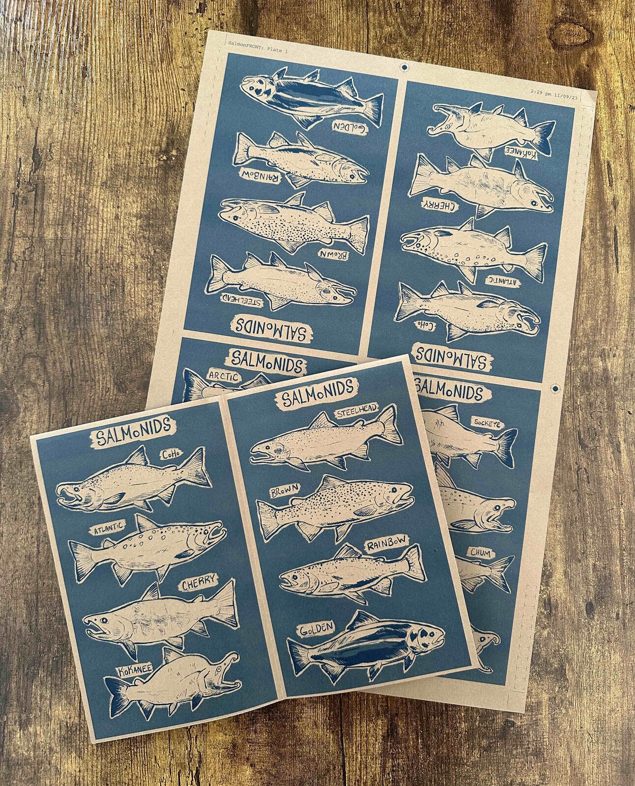 Picture of the zine printed out as a poster, and folded open as a zine.