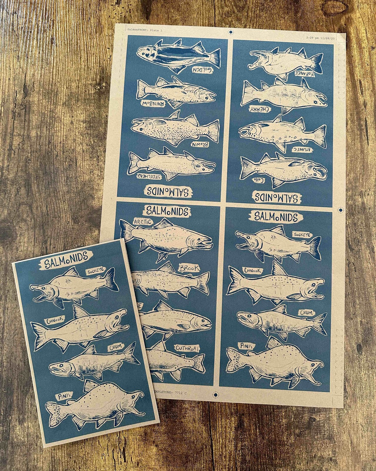 Another shot of the print outs, with the zine unfolded.