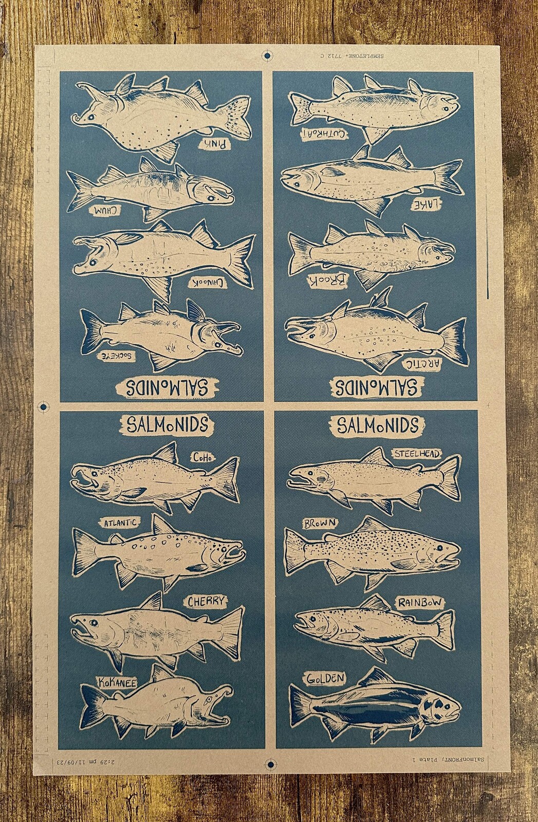 Picture of just the zine as a poster.