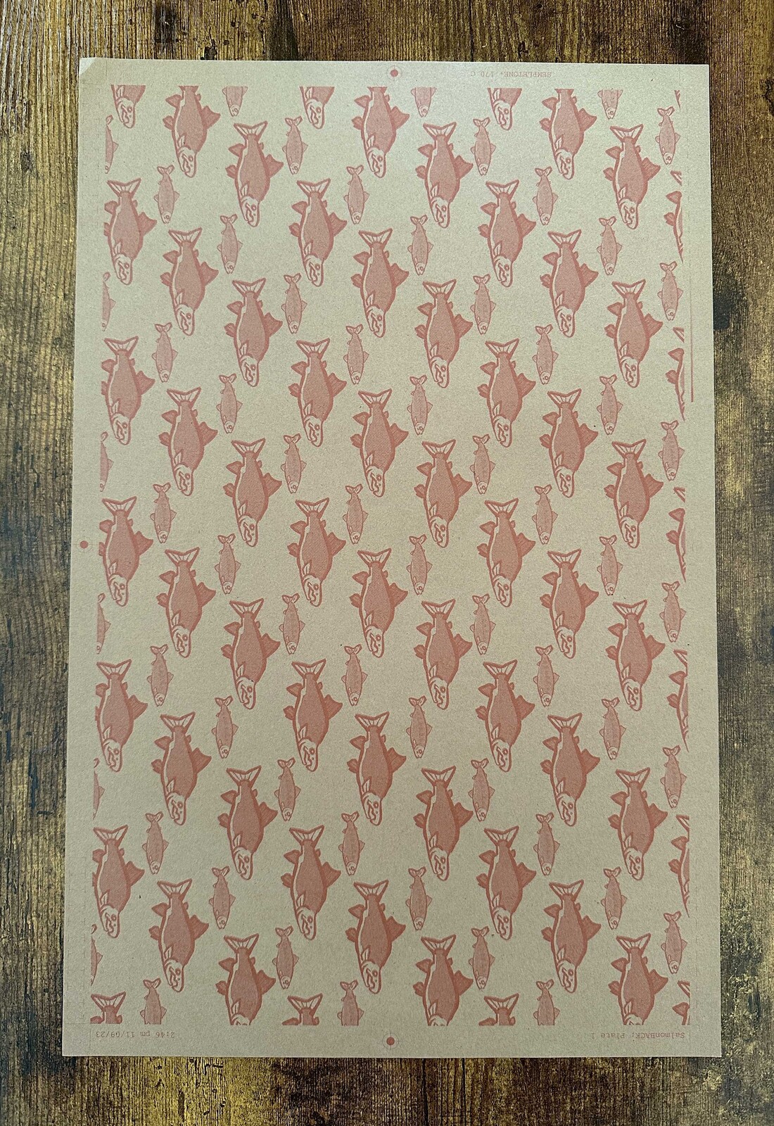 Picture of the pattern on the back of the poster, and what is revealed when the zine is unfolded. 