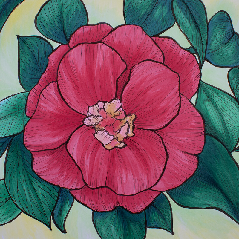 Camellia in Bloom - 9" x 12" Marker Drawing