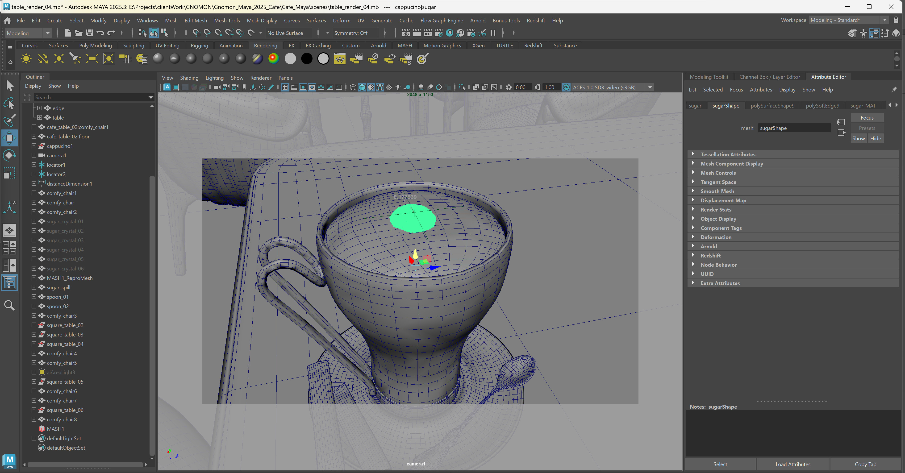 Set up in Maya
