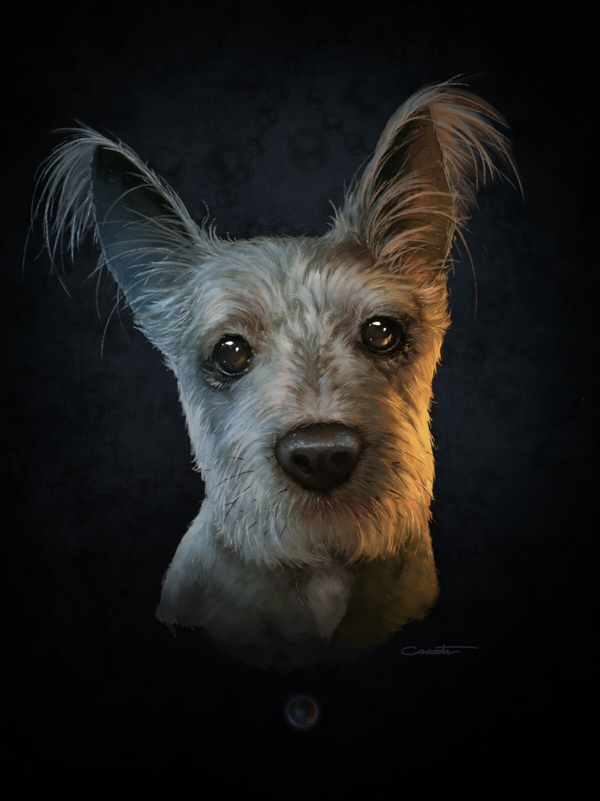Pet Portrait 
