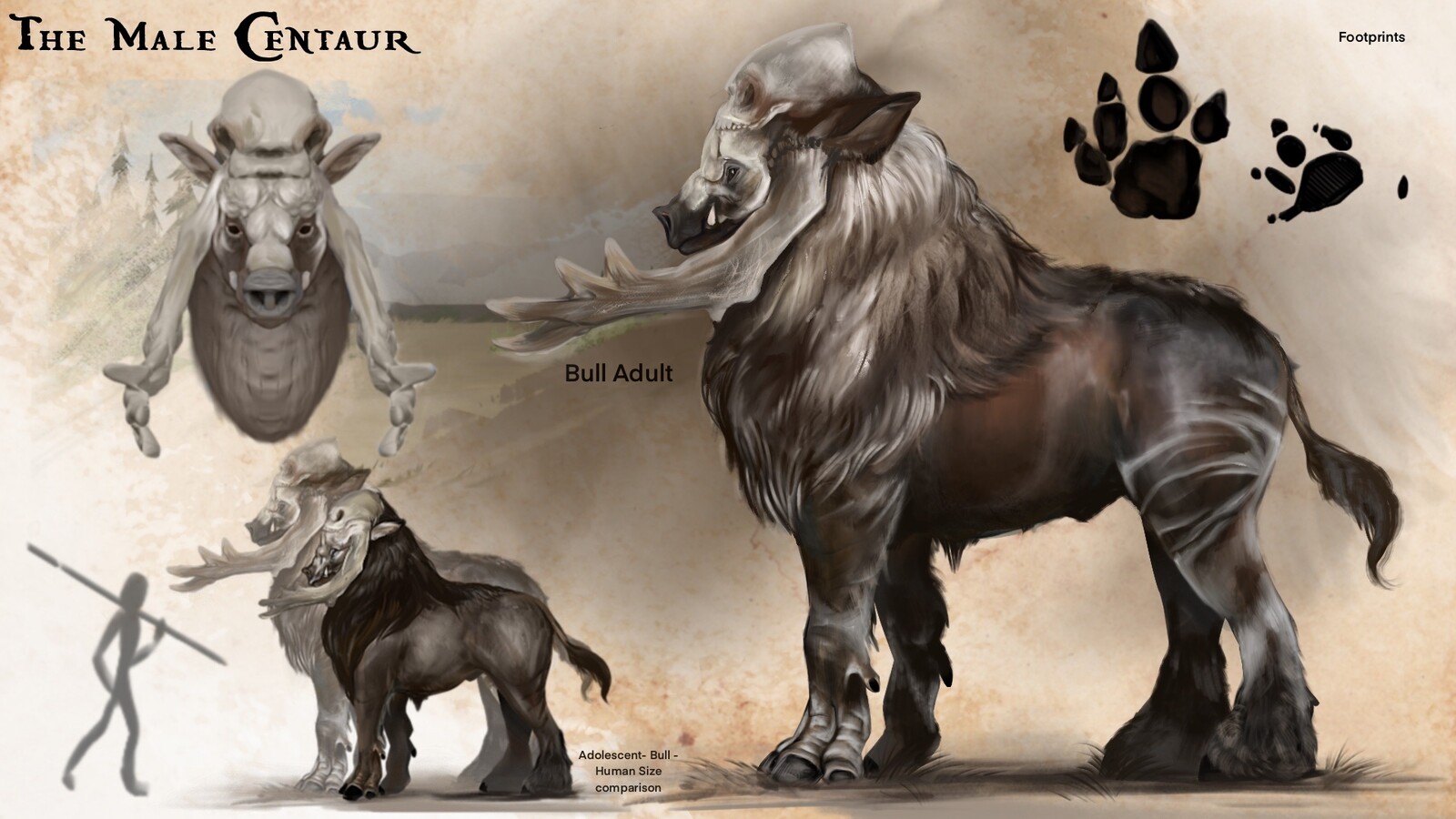 Bull males are the eldest and strongest of the herd. They have domed heads that look similar to human skulls and arm like horns. These are the members most likely to have a mate as they have the best genetics.