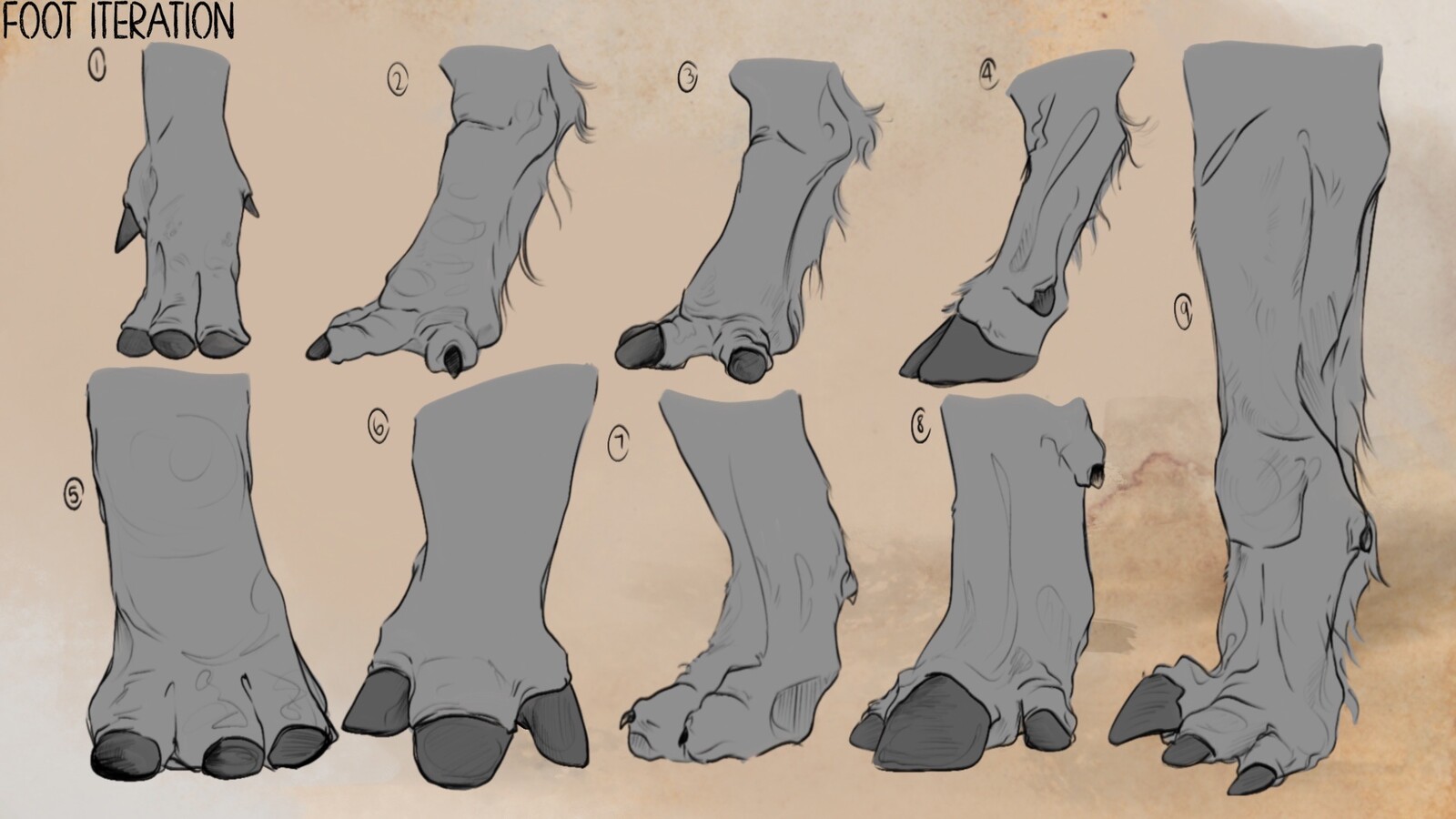 Testing feet shapes for this animal. Different types of feet developed to different needs.