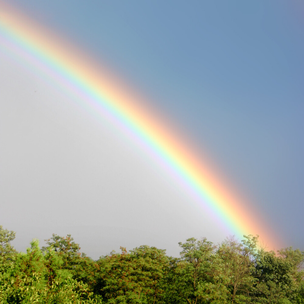 Ten colours that  always running in the same order. Yellow, green, blue, indigo, purple, violet, magenta, red, orange. The spectrum of colours become a loop.Colours have to transition through each other.