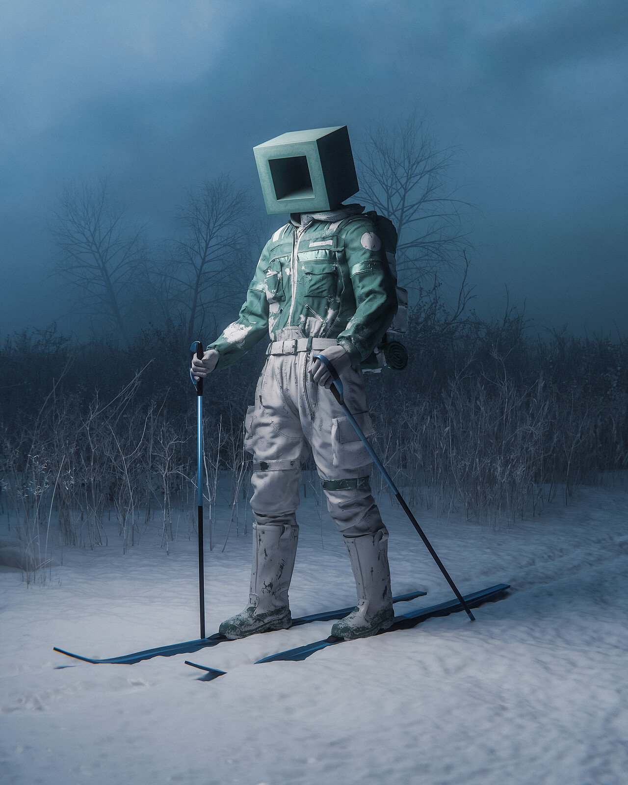 went skiing