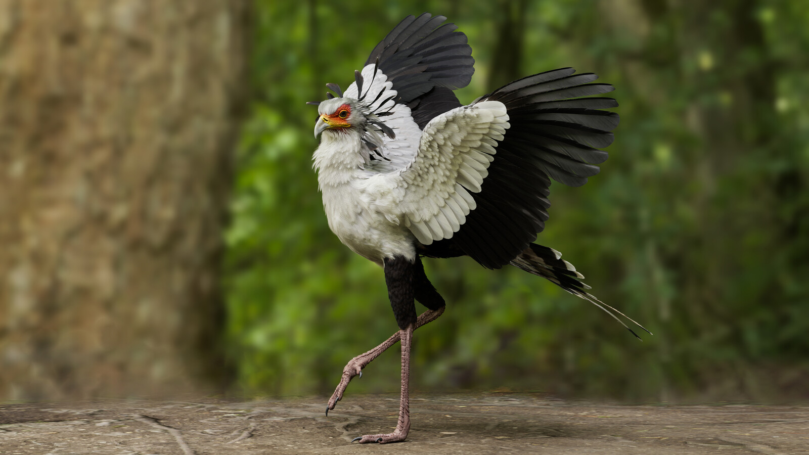 Beauty Render 4K Karma XPU