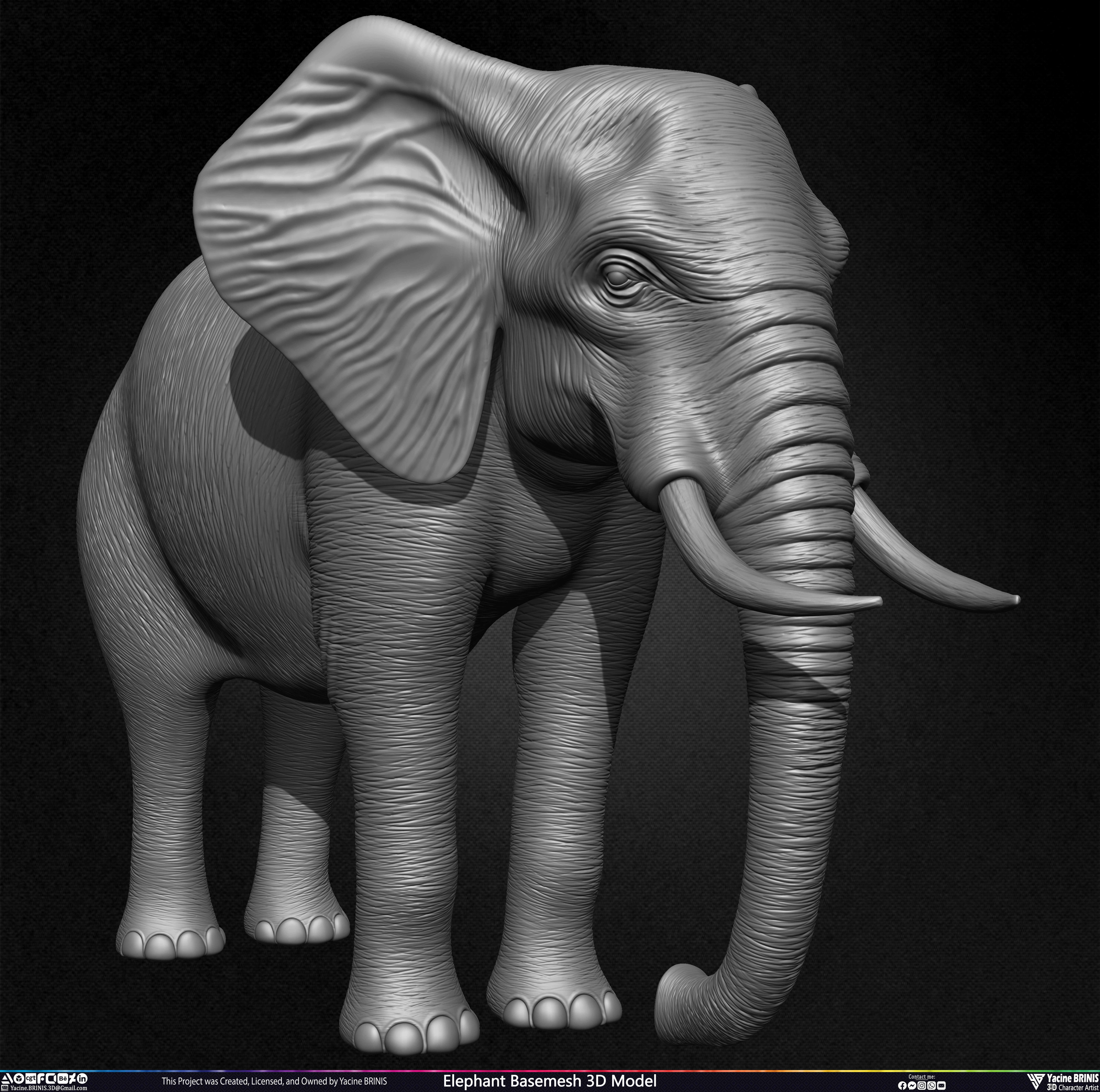 Elephant Basemesh 3D Model Animal Sculpted by Yacine BRINIS Set 001