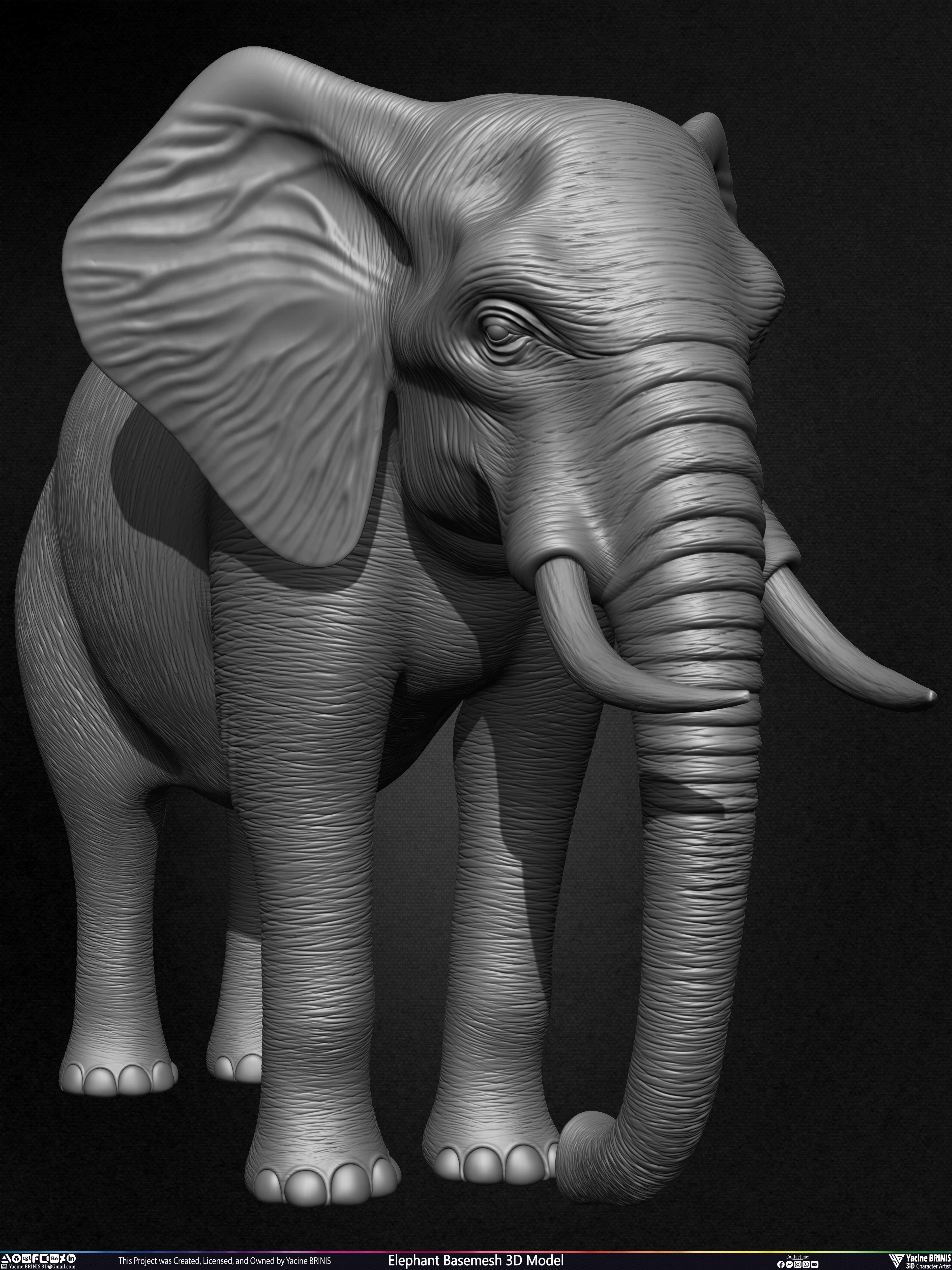 Elephant Basemesh 3D Model Animal Sculpted by Yacine BRINIS Set 006