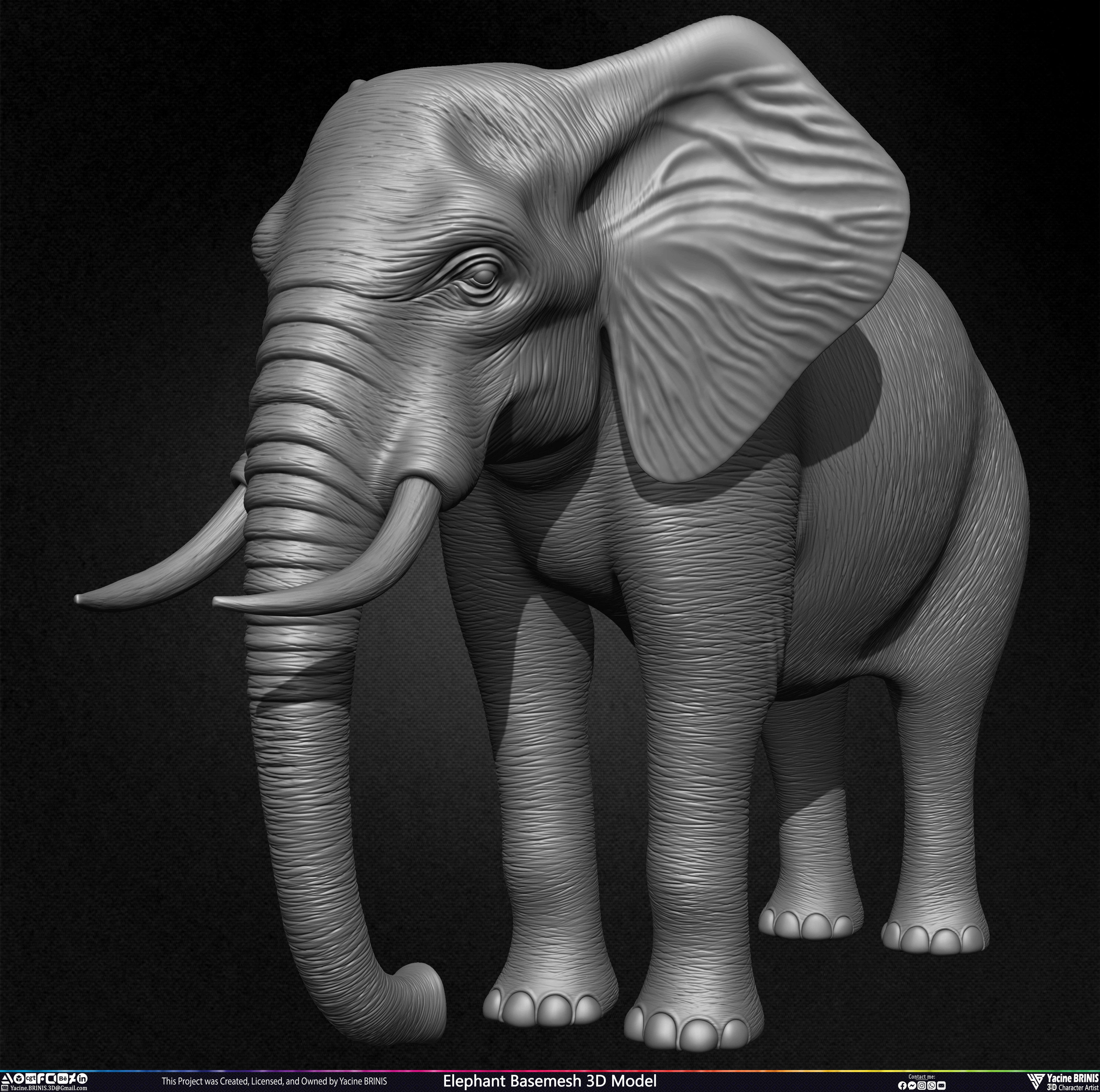 Elephant Basemesh 3D Model Animal Sculpted by Yacine BRINIS Set 012
