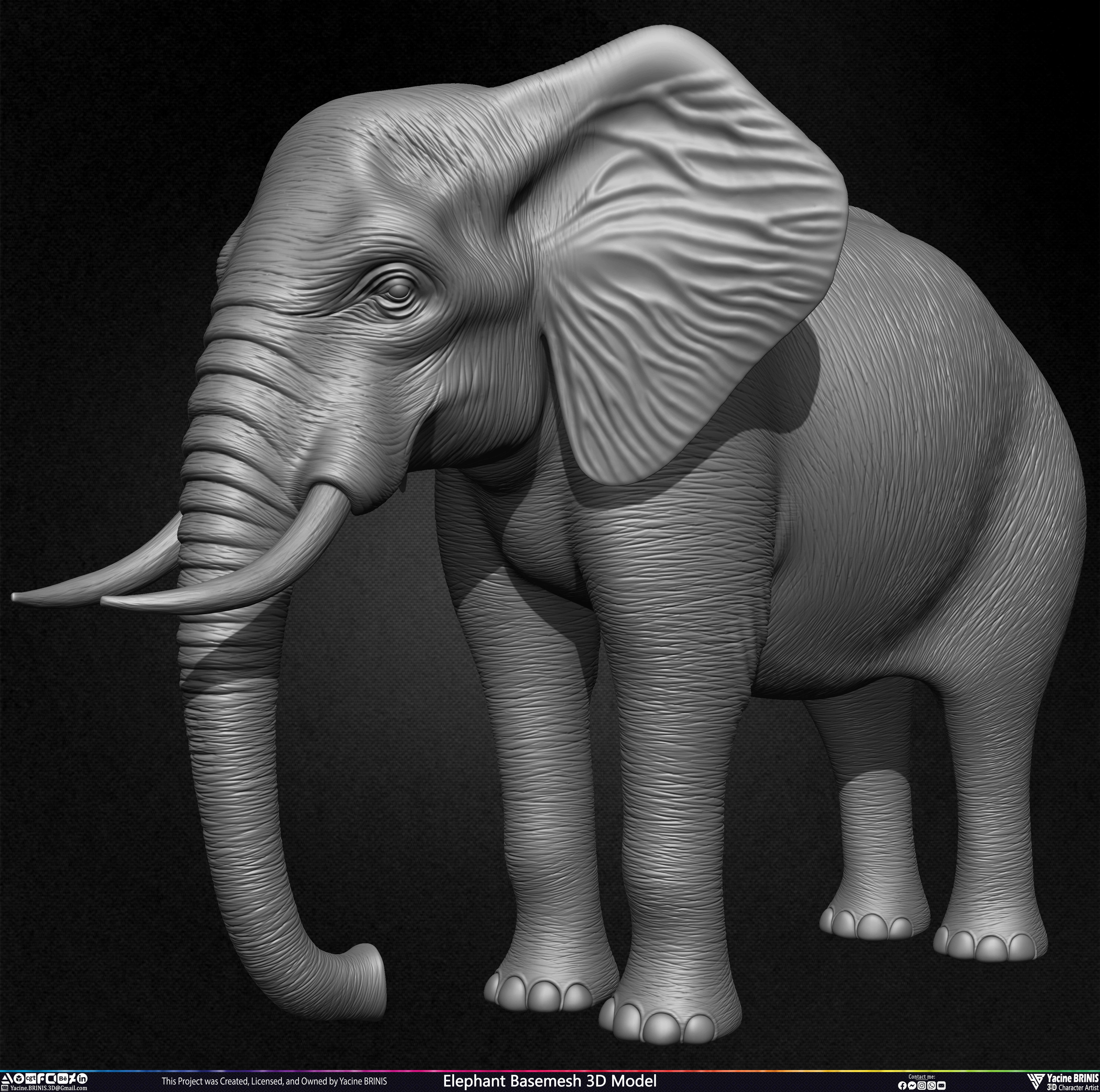 Elephant Basemesh 3D Model Animal Sculpted by Yacine BRINIS Set 013