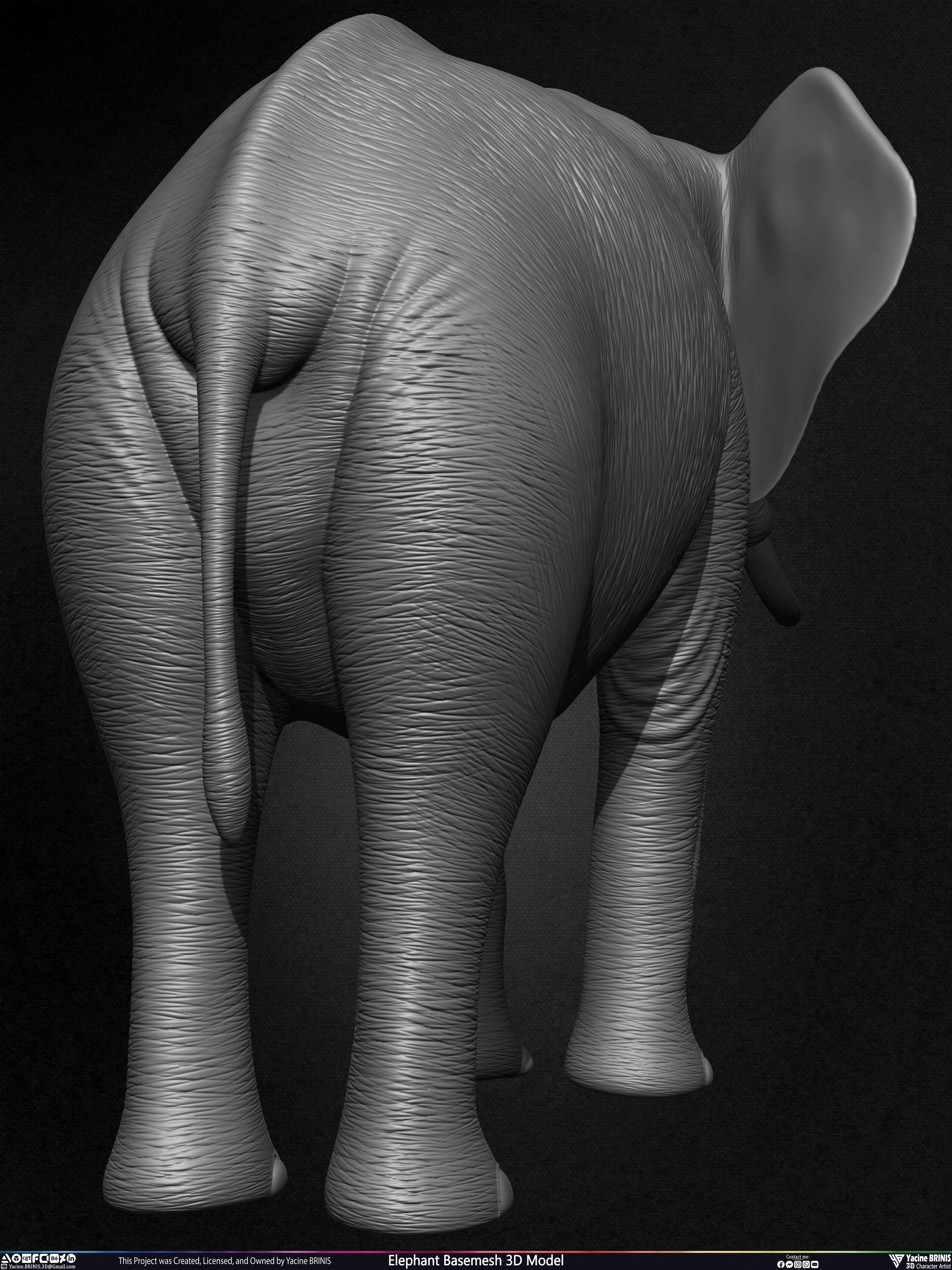 Elephant Basemesh 3D Model Animal Sculpted by Yacine BRINIS Set 020