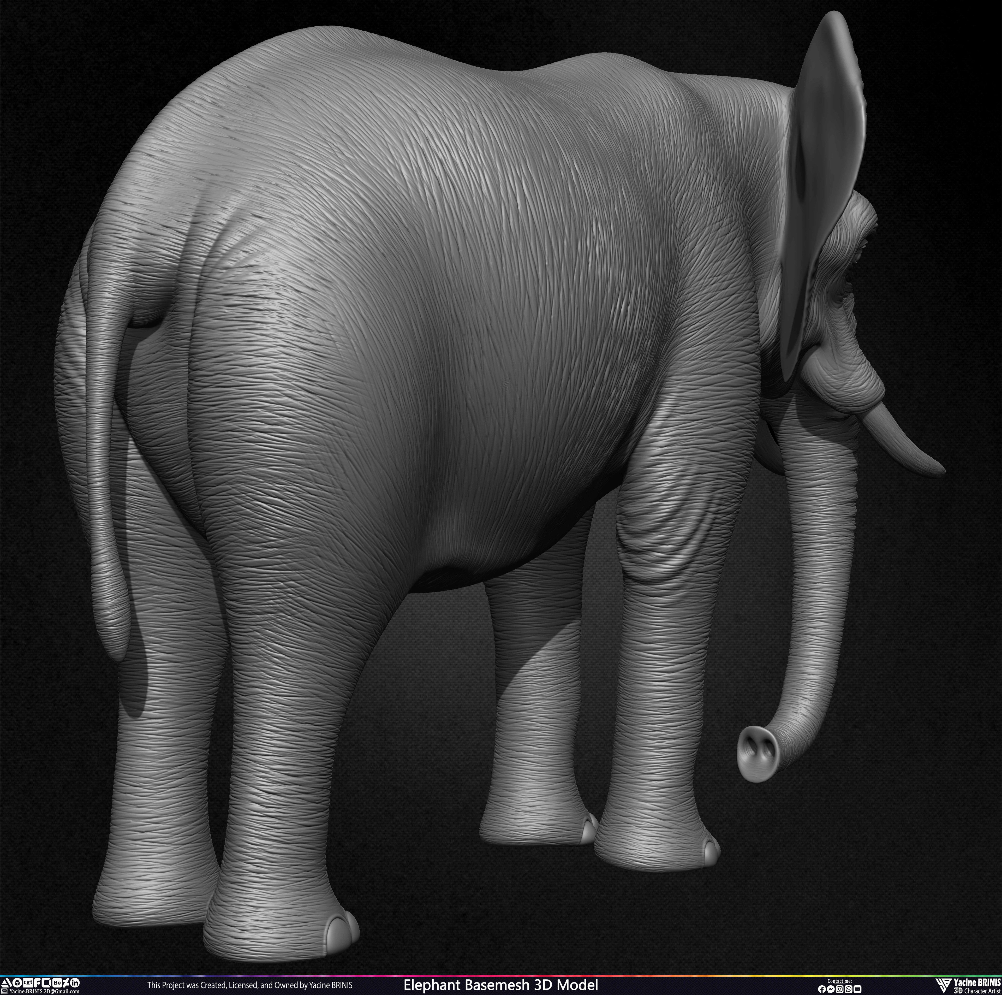 Elephant Basemesh 3D Model Animal Sculpted by Yacine BRINIS Set 021