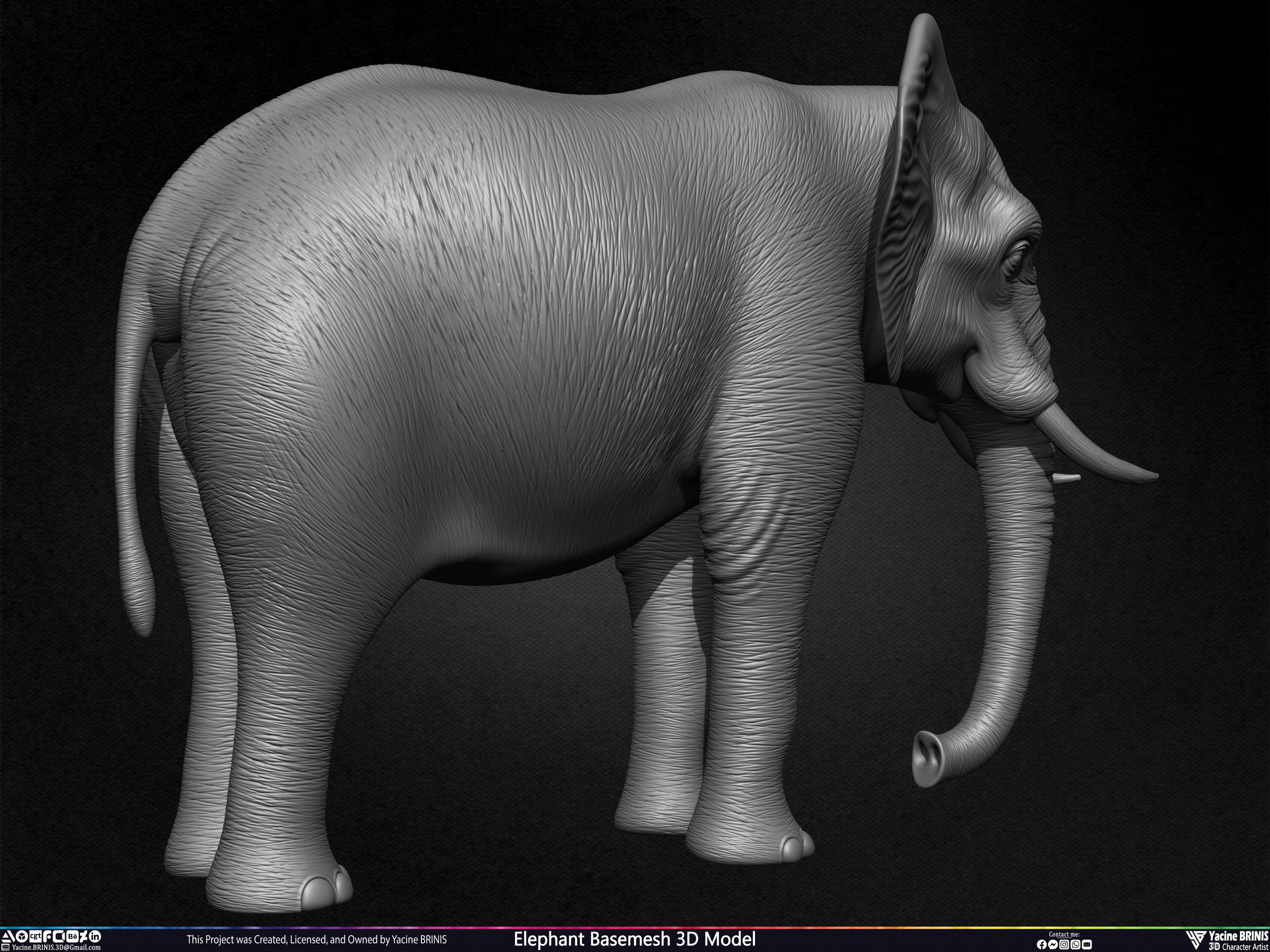 Elephant Basemesh 3D Model Animal Sculpted by Yacine BRINIS Set 022