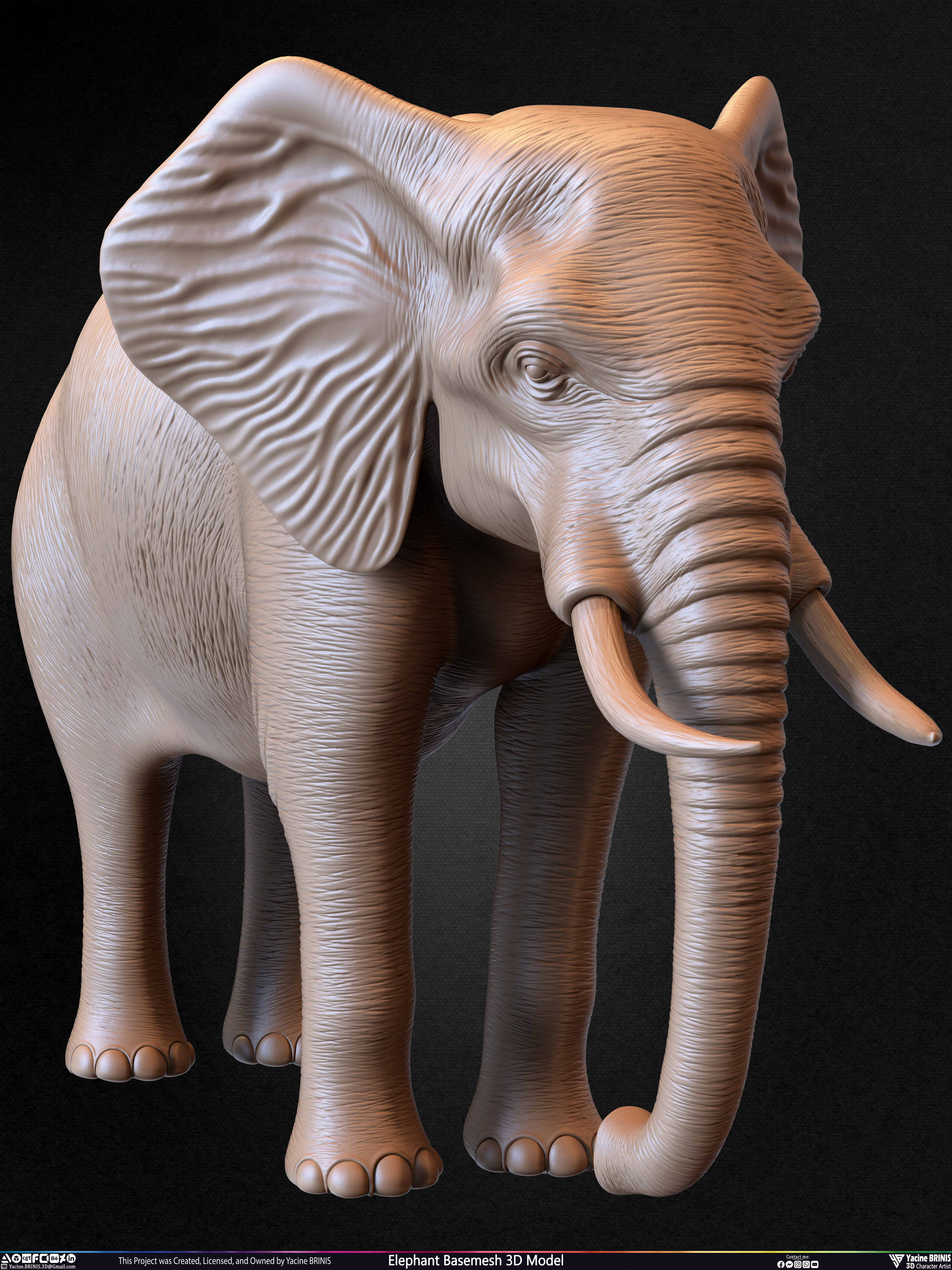 Elephant Basemesh 3D Model Animal Sculpted by Yacine BRINIS Set 026