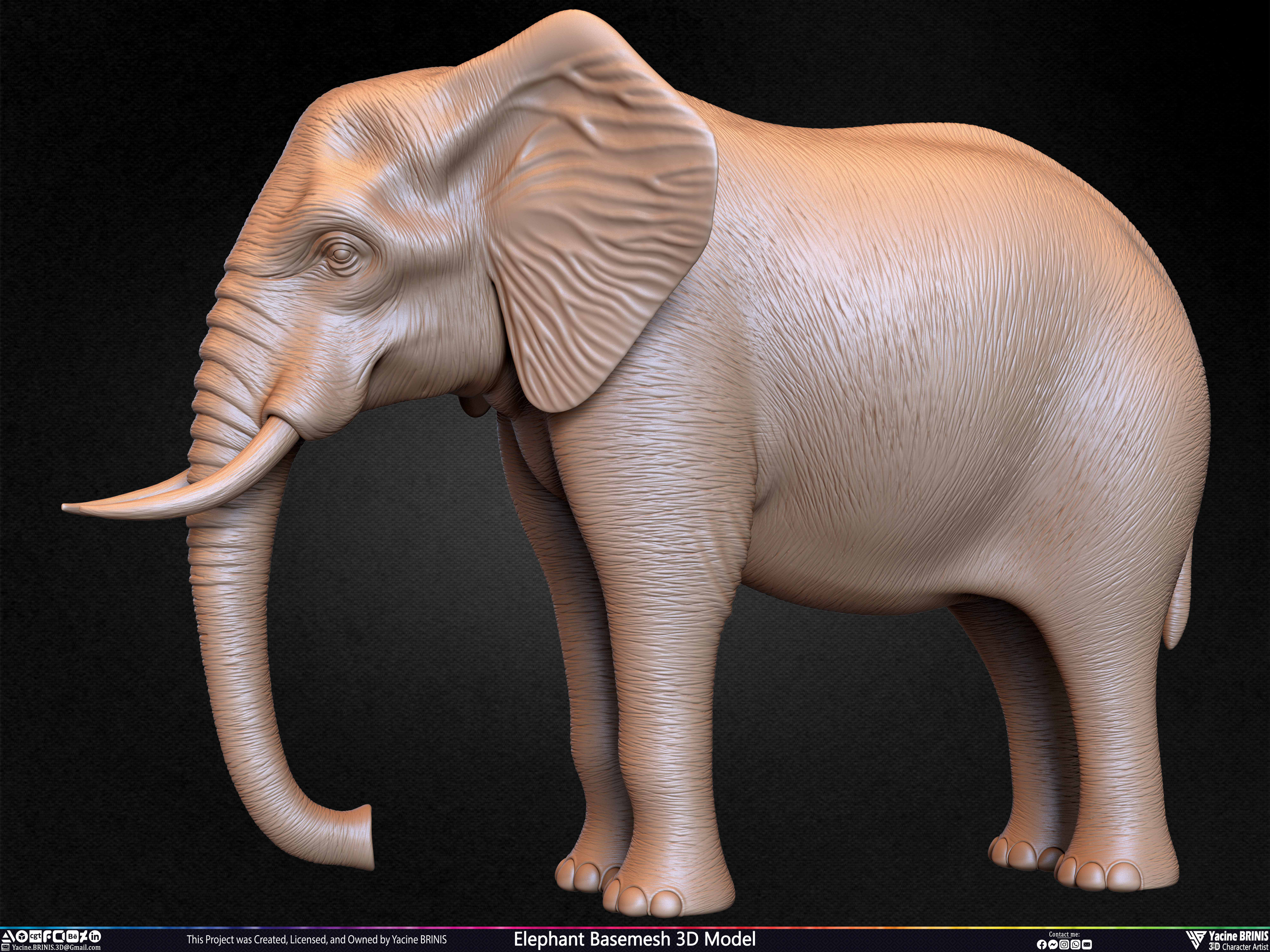 Elephant Basemesh 3D Model Animal Sculpted by Yacine BRINIS Set 033