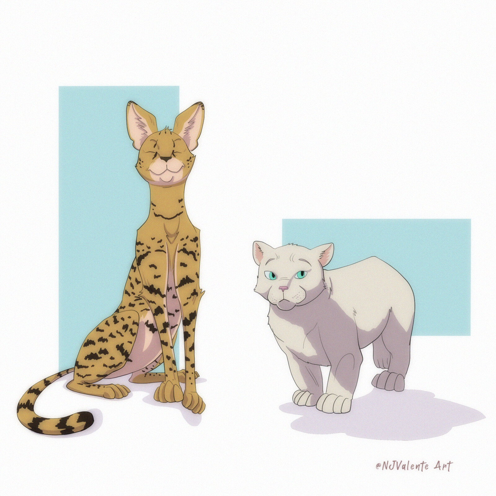 Cats!