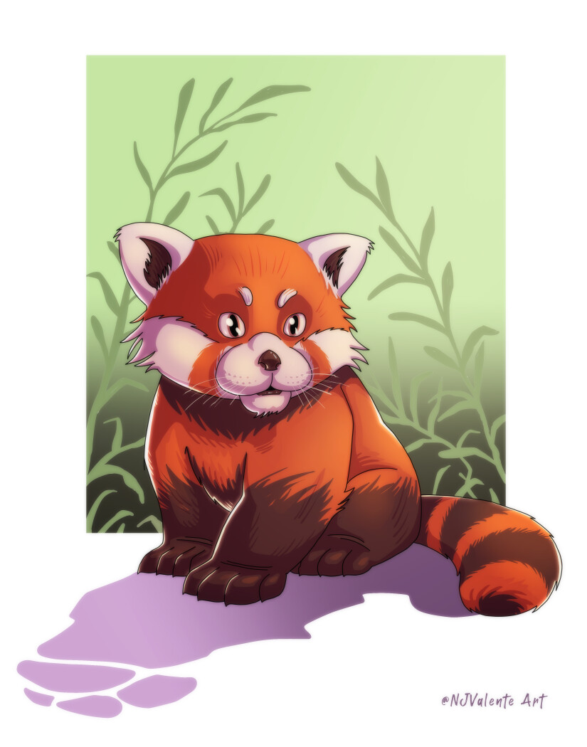 Red Panda