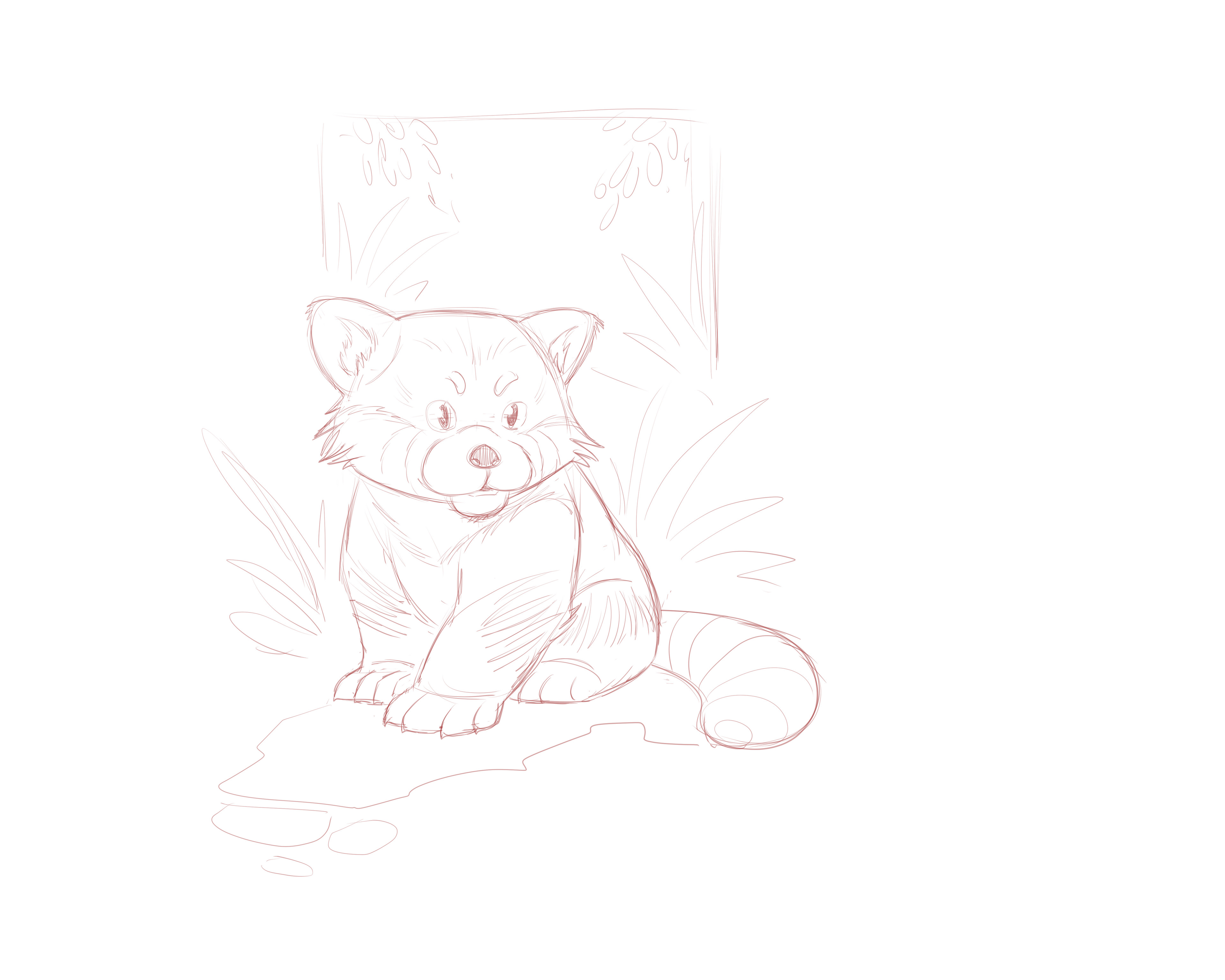 Sketch.
